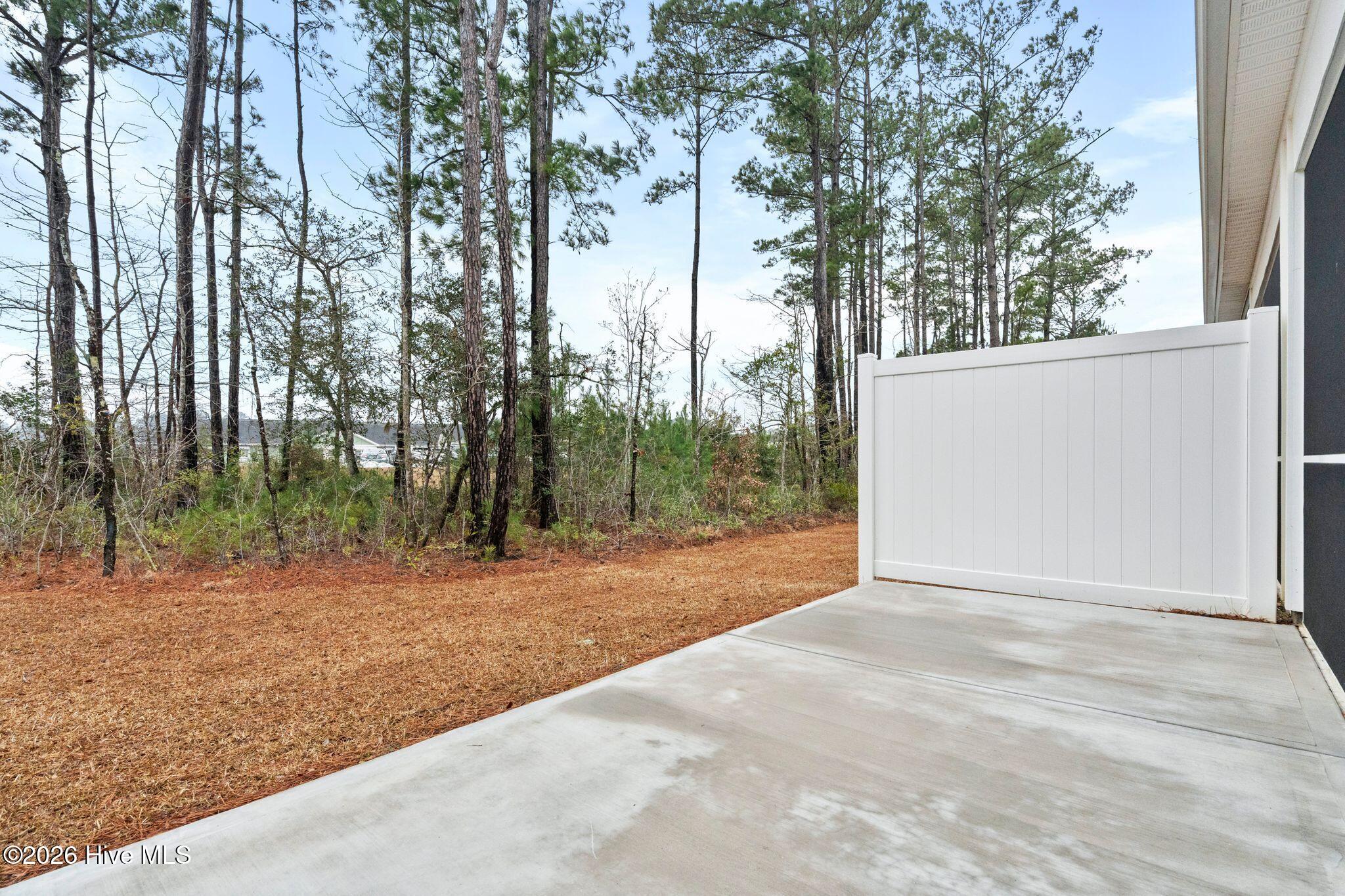 100553516 | Photo 35