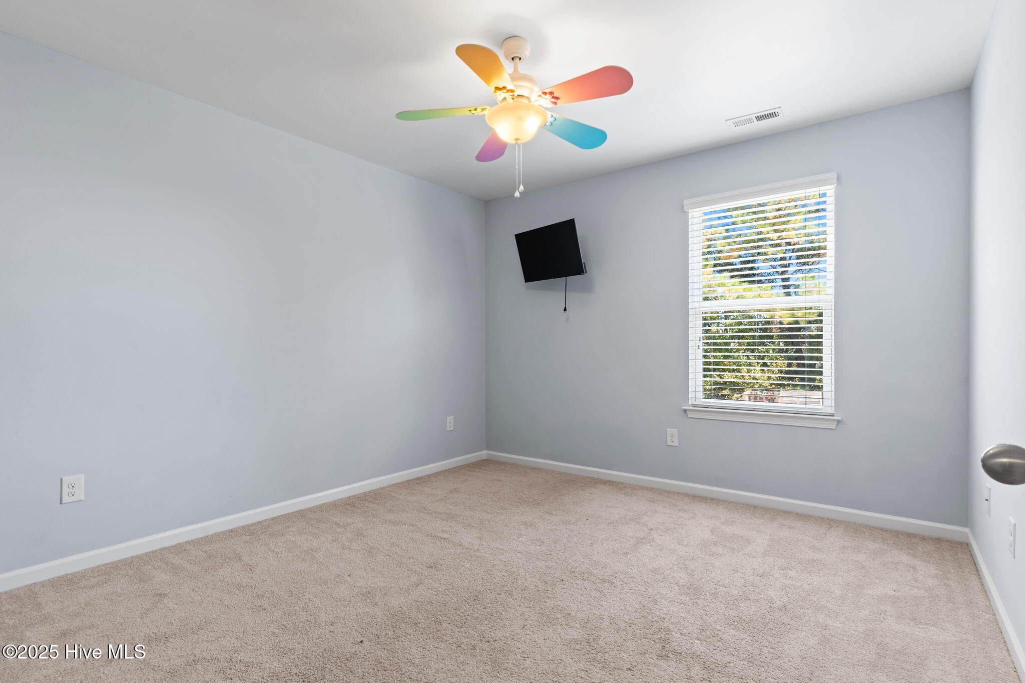 100538631 | Photo 21