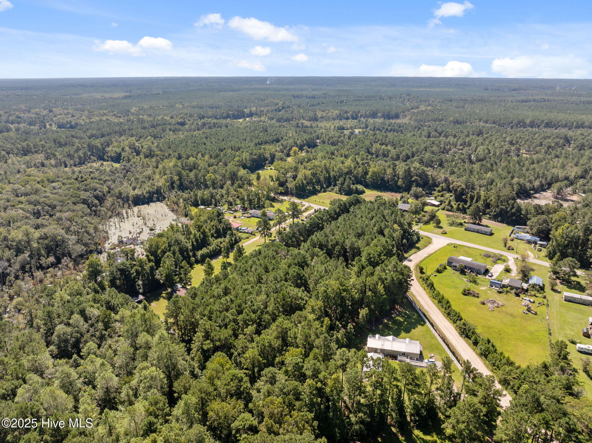 100527806 | Photo 11