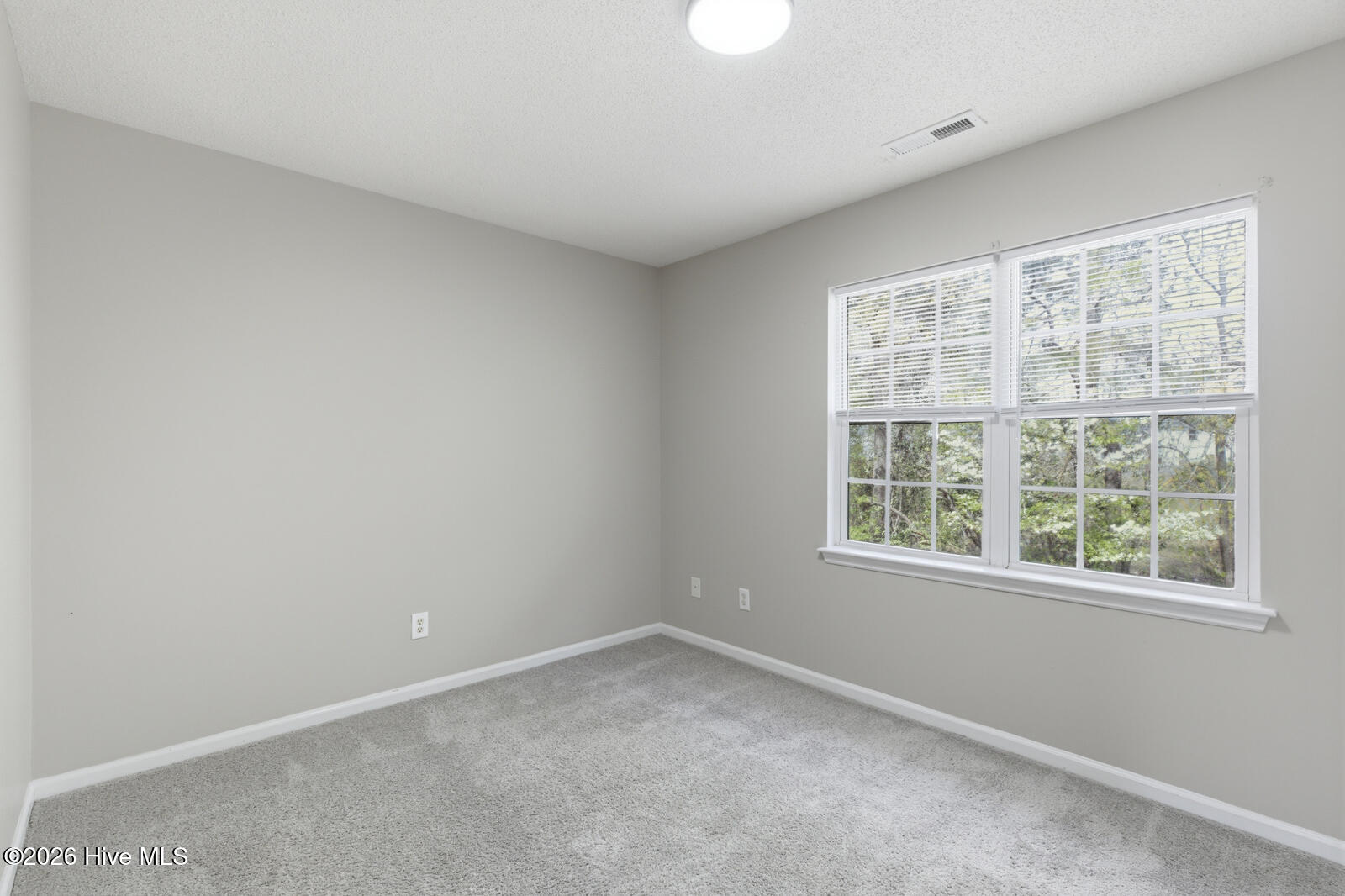 100568263 | Photo 11