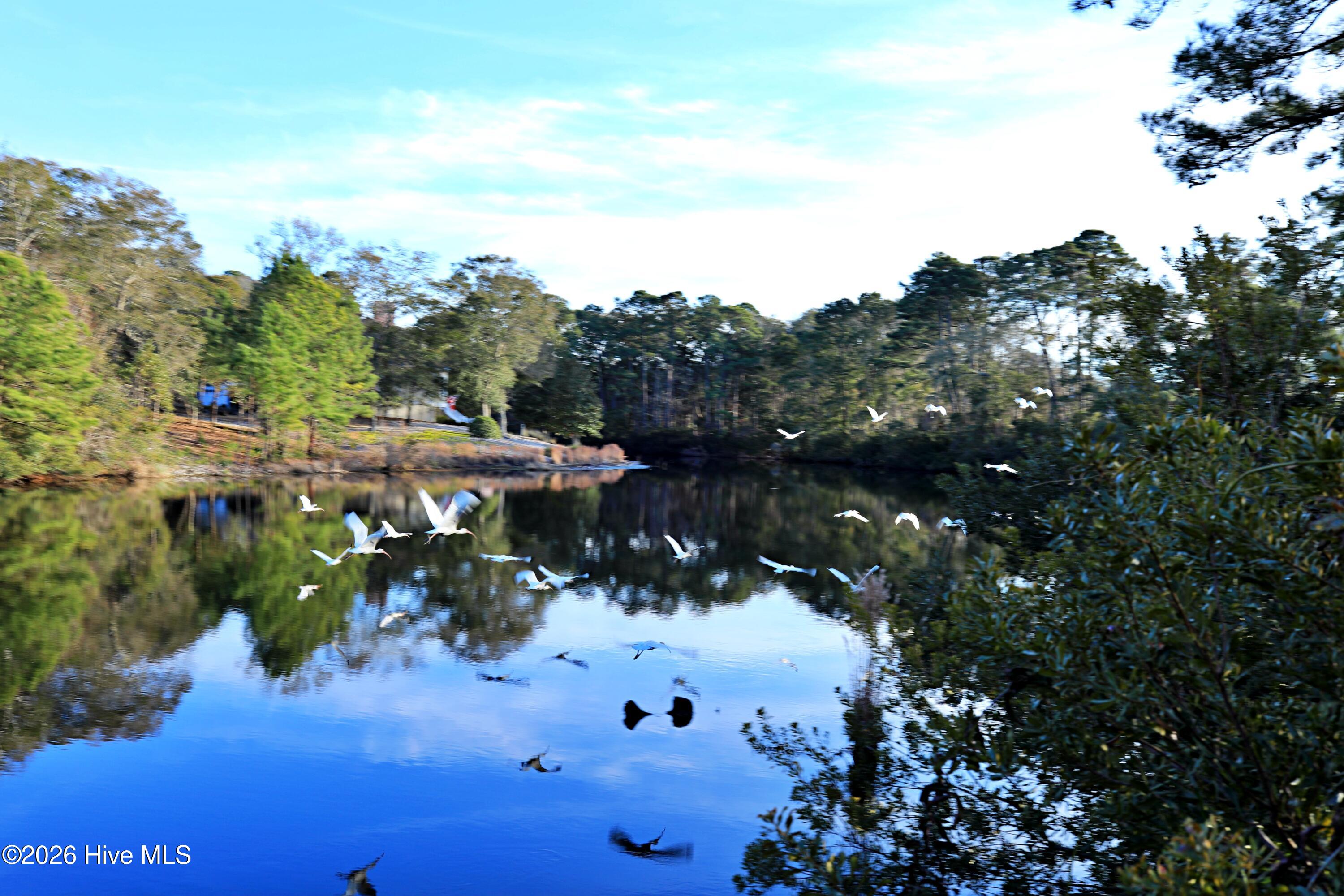 100554715 | Photo 22