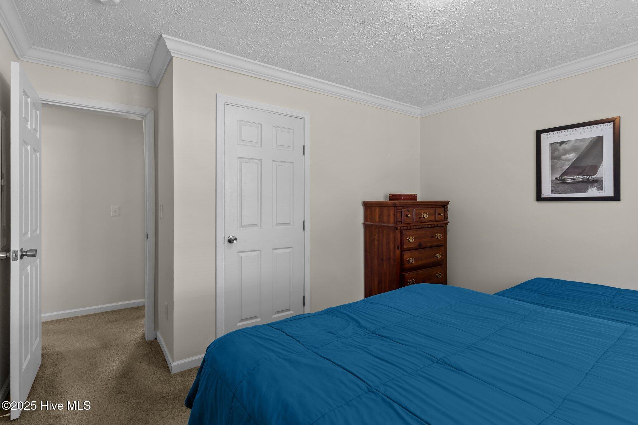 100509442 | Photo 22