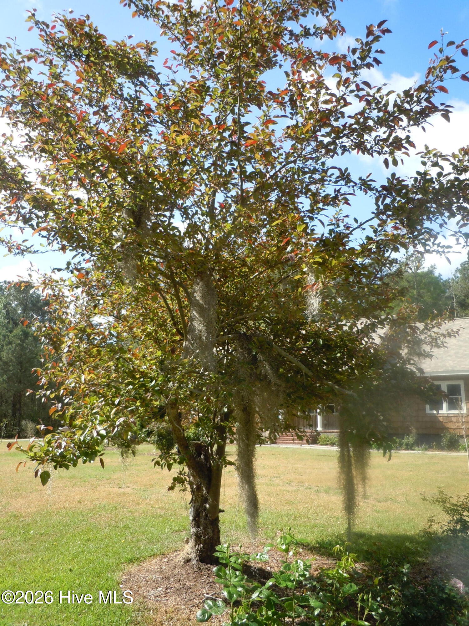 100565129 | Photo 103