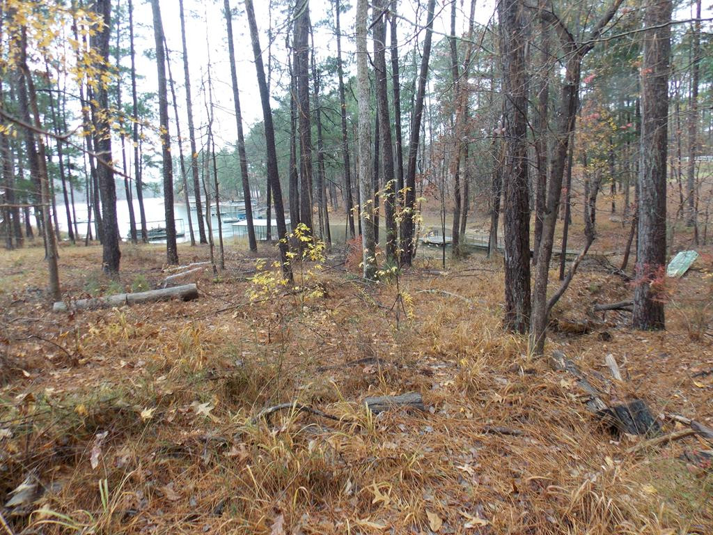 Delaware Drive, Lincolnton, GA 30817 Listing Photo  1