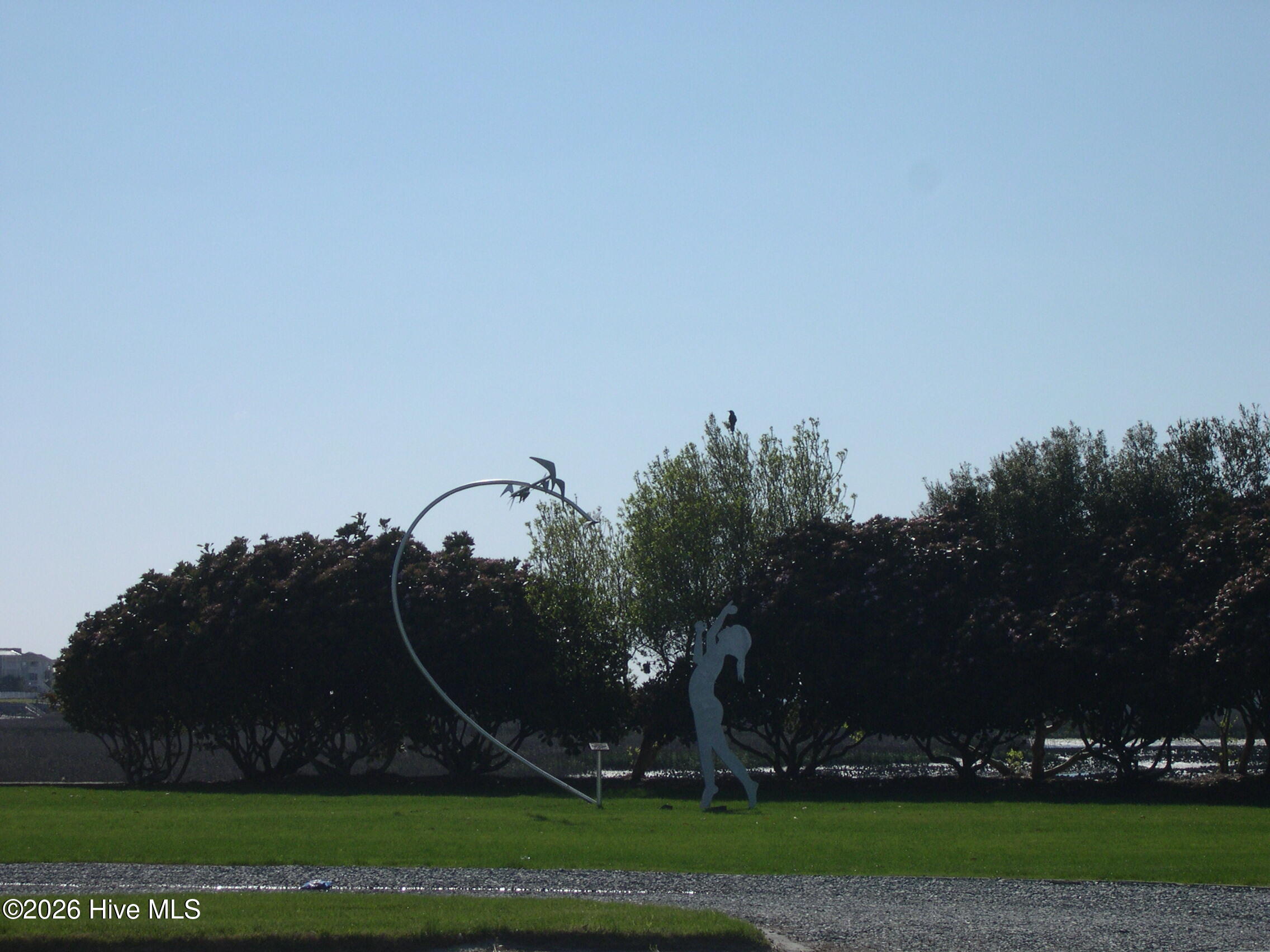 100551373 | Photo 20