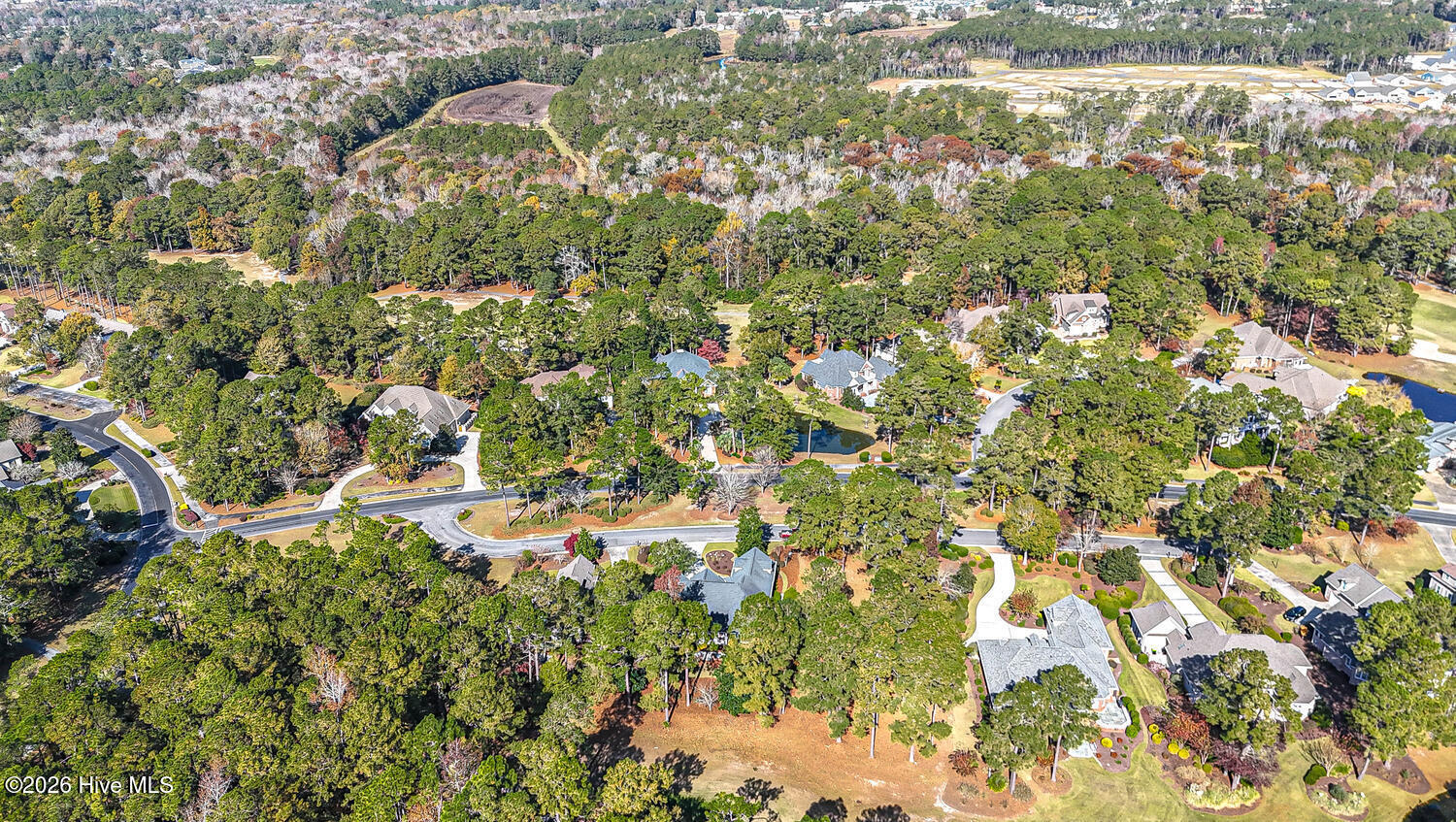 100551245 | Photo 72