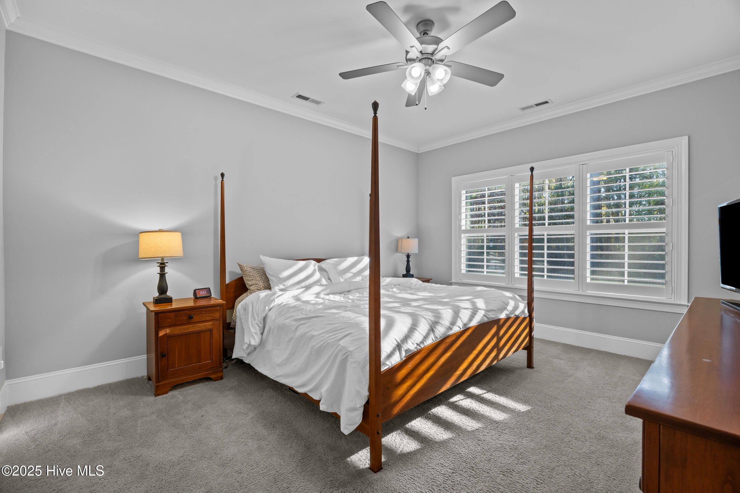 100545098 | Photo 17