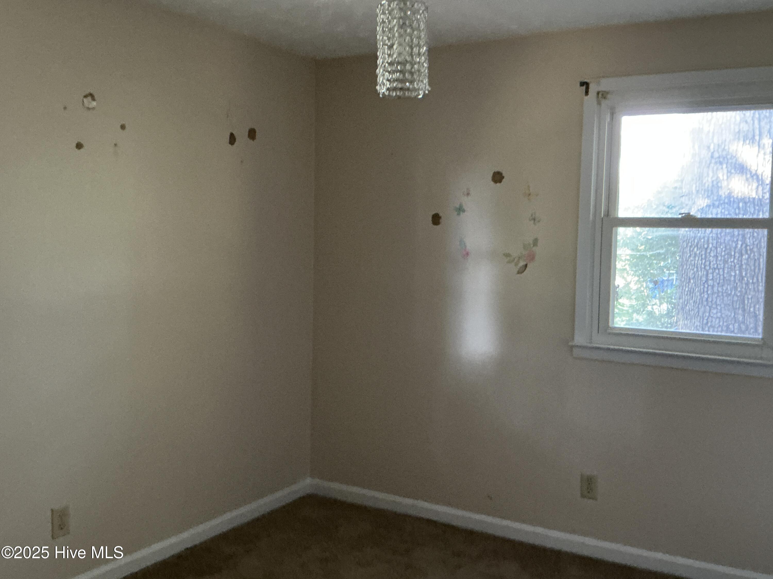 100548124 | Photo 10