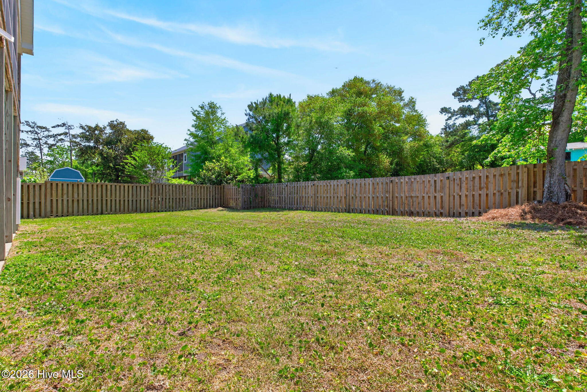 100568136 | Photo 47