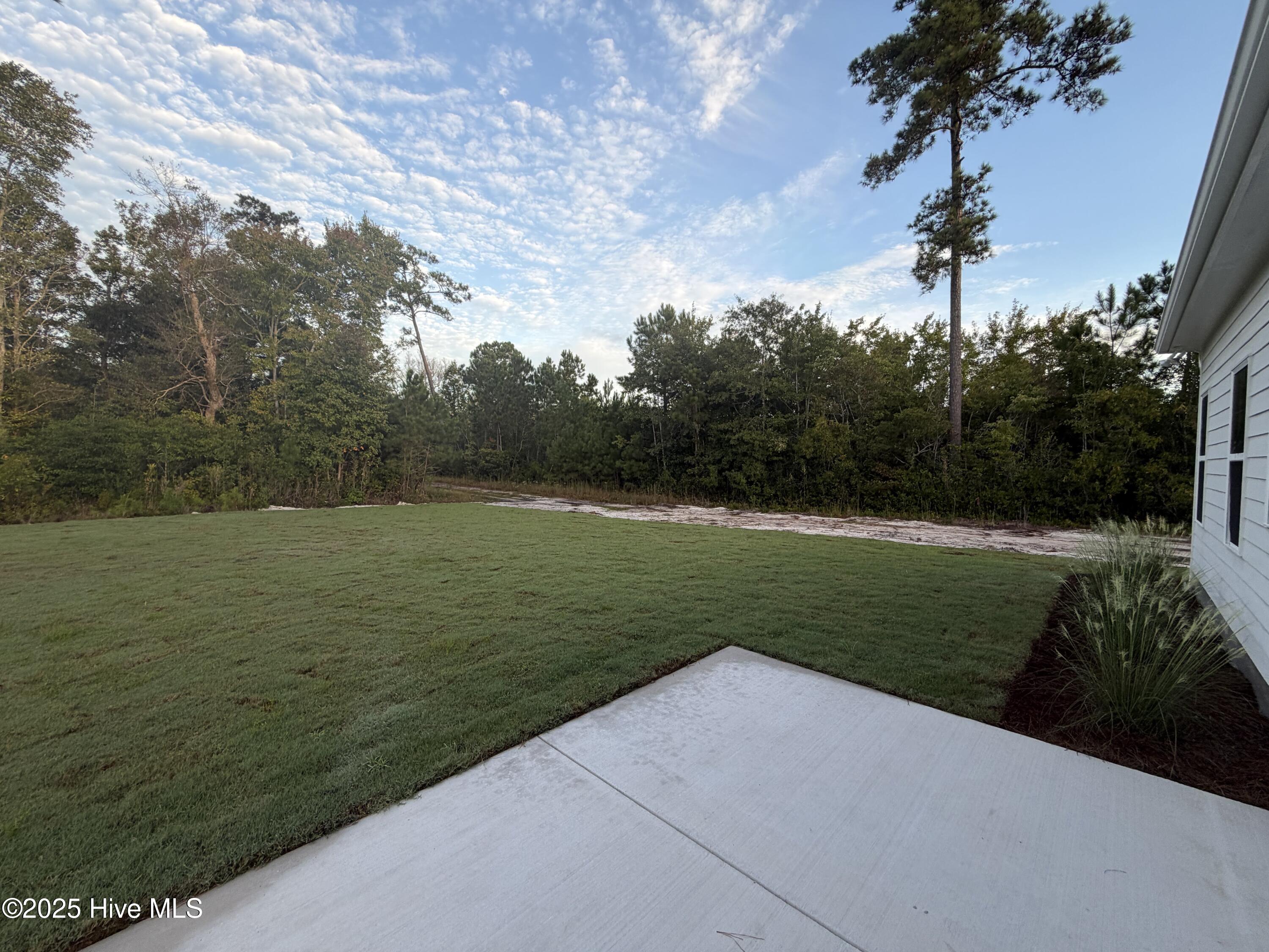 100521695 | Photo 34