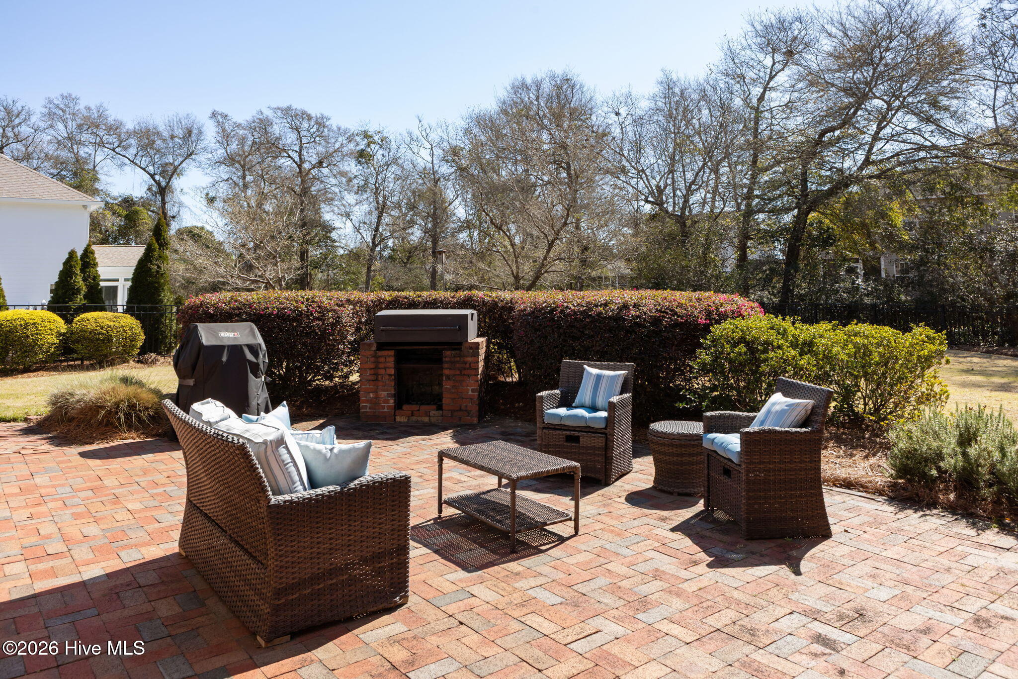 100564059 | Photo 38