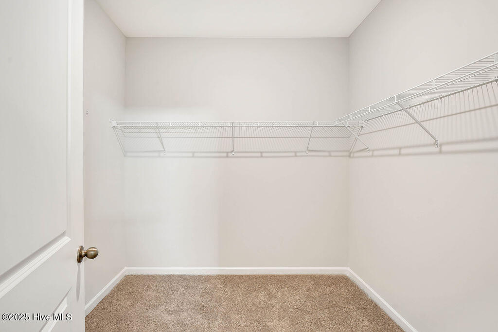 100528911 | Photo 29