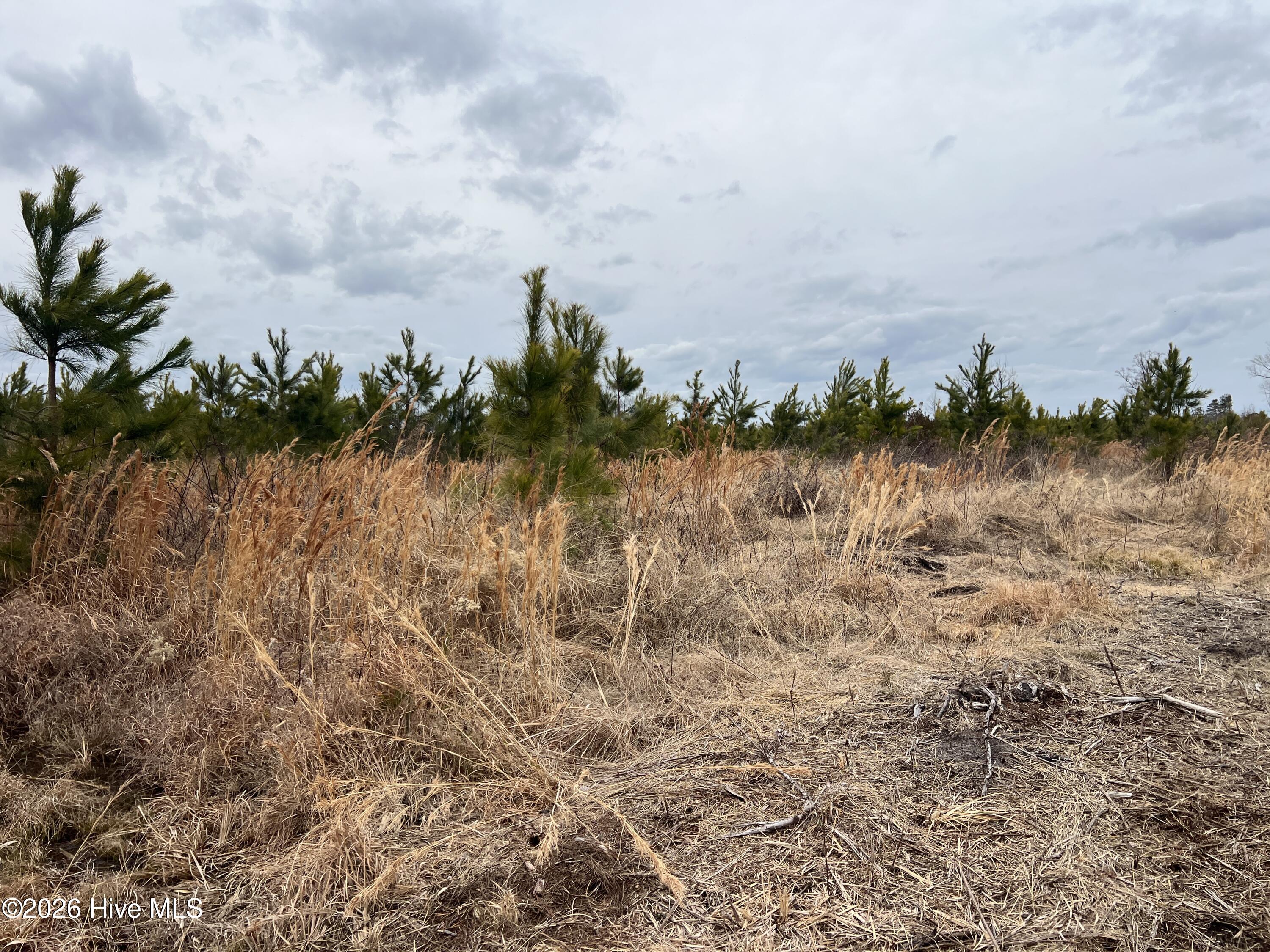 Homes for sale in Windsor, NC | 943 Off 943 Governors Rd Nc 308 Rd, Windsor, NC 27983 | MLS# 100555210