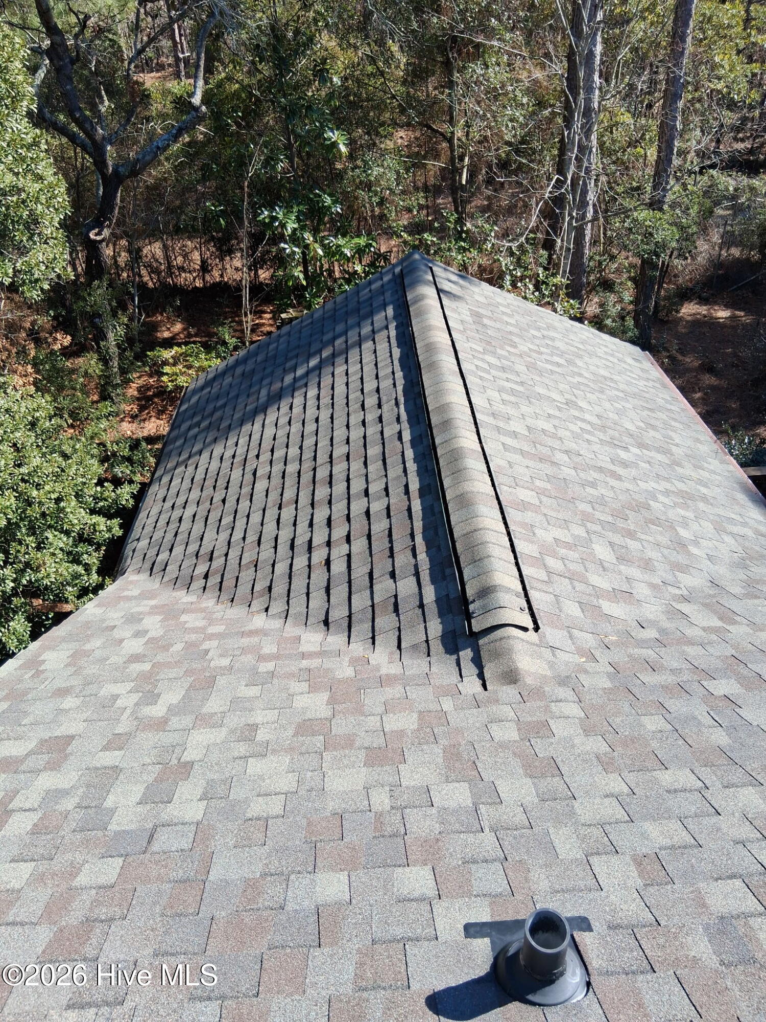 100522283 | Photo 29