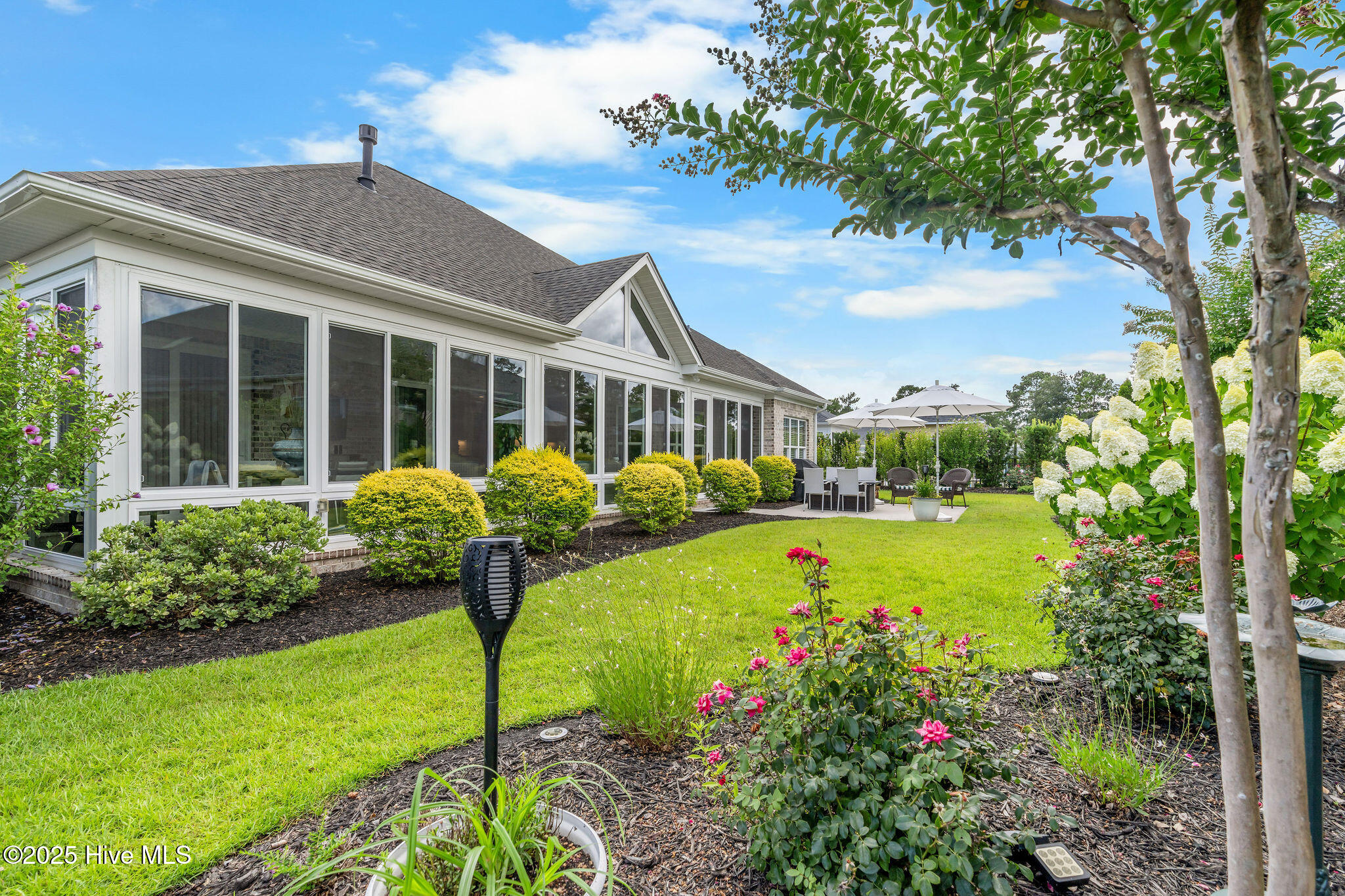 100517606 | Photo 64