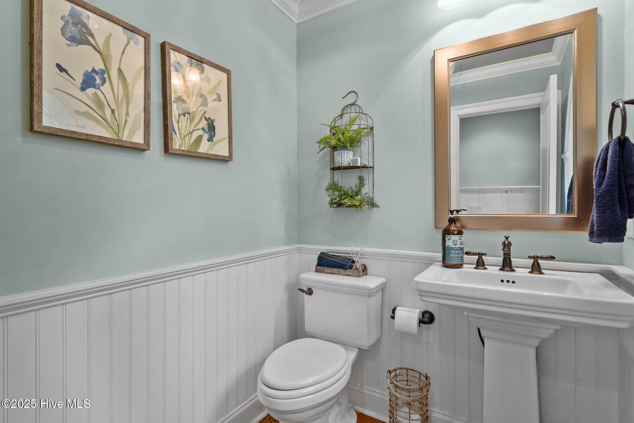 100565962 | Photo 43