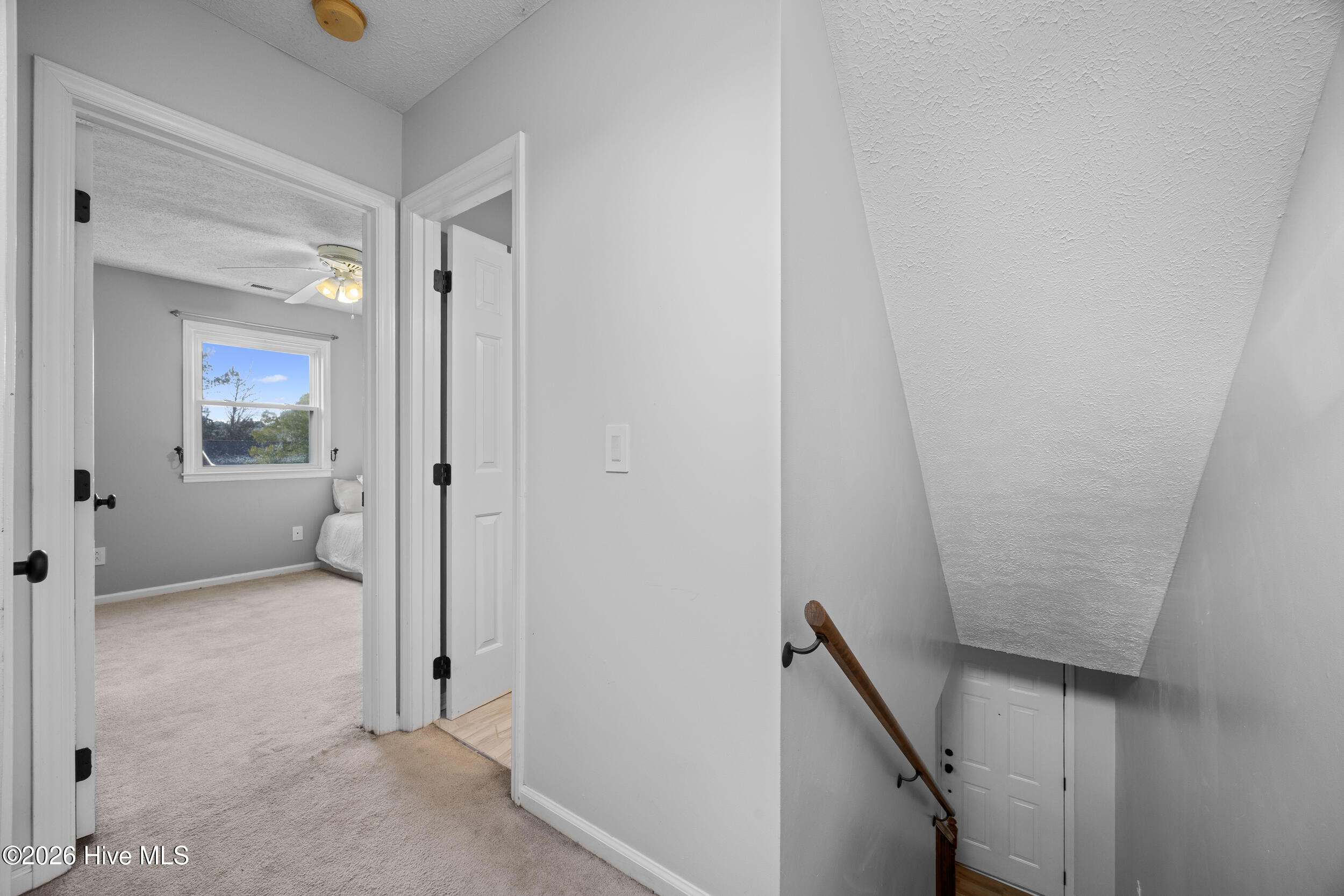 100547989 | Photo 23