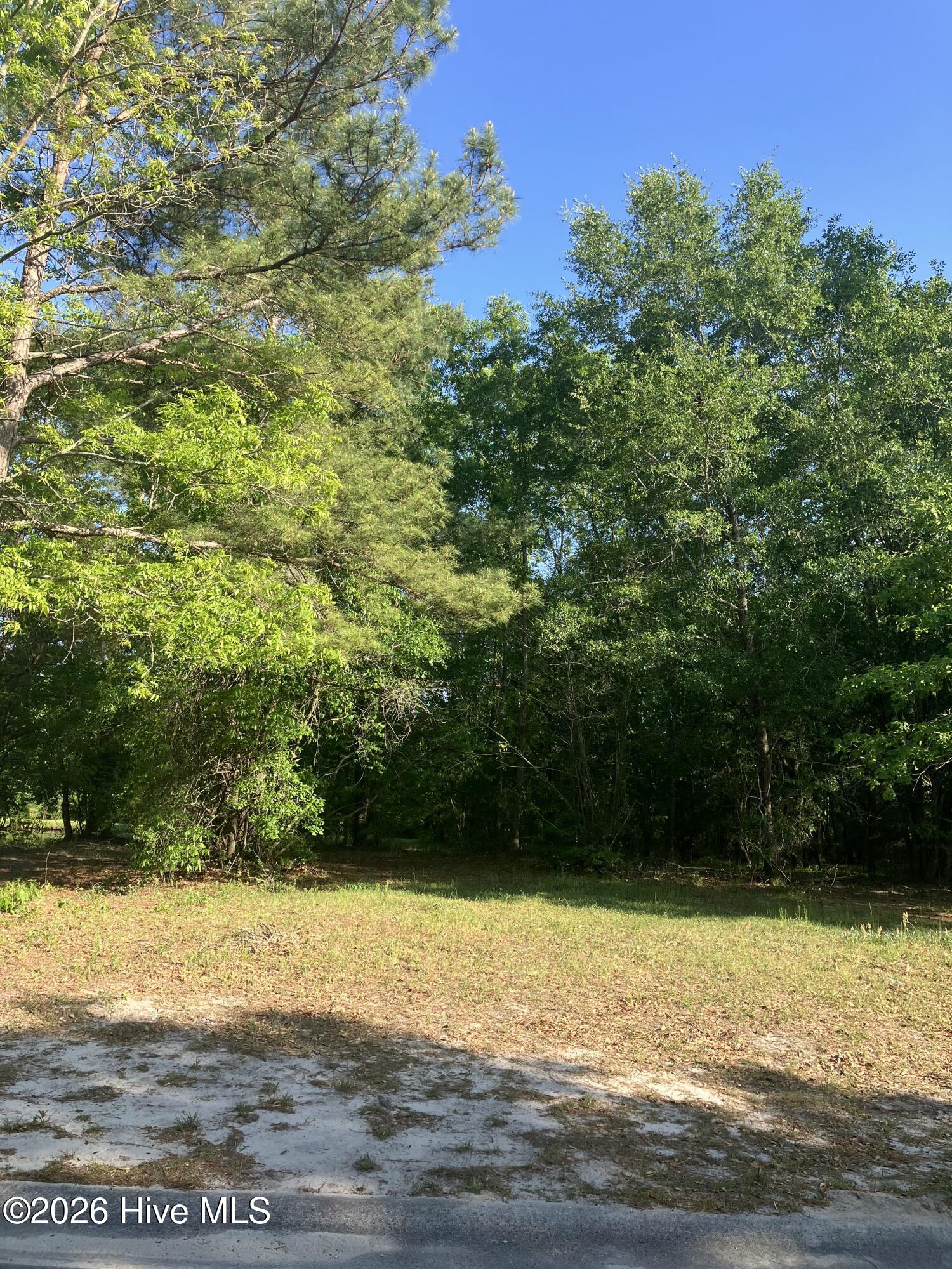 530 Wood Haven Road, Boiling Spring Lakes, NC, 28461