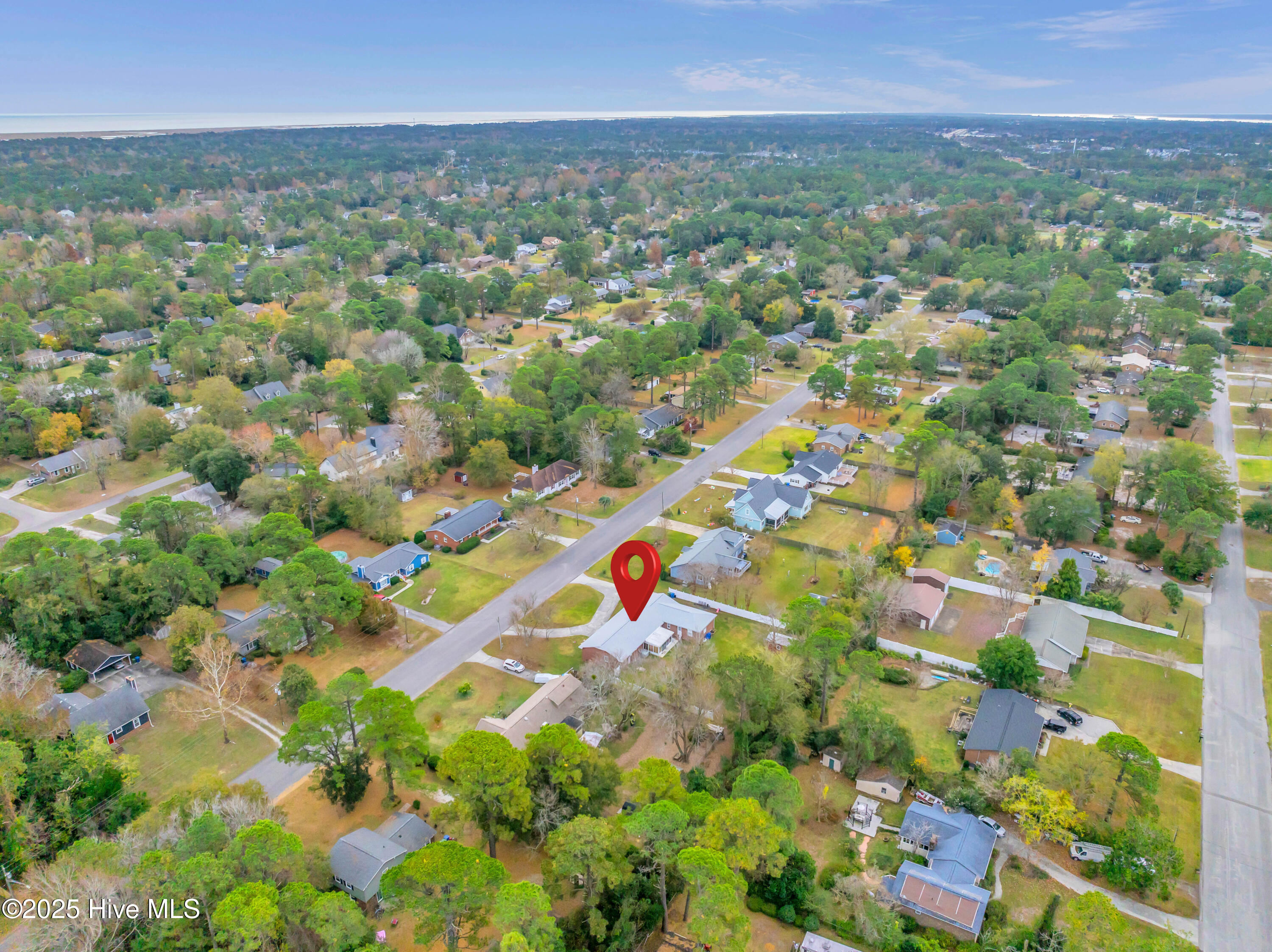 100567003 | Photo 47