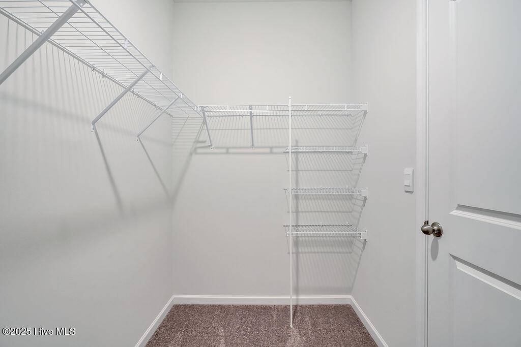 100515440 | Photo 12