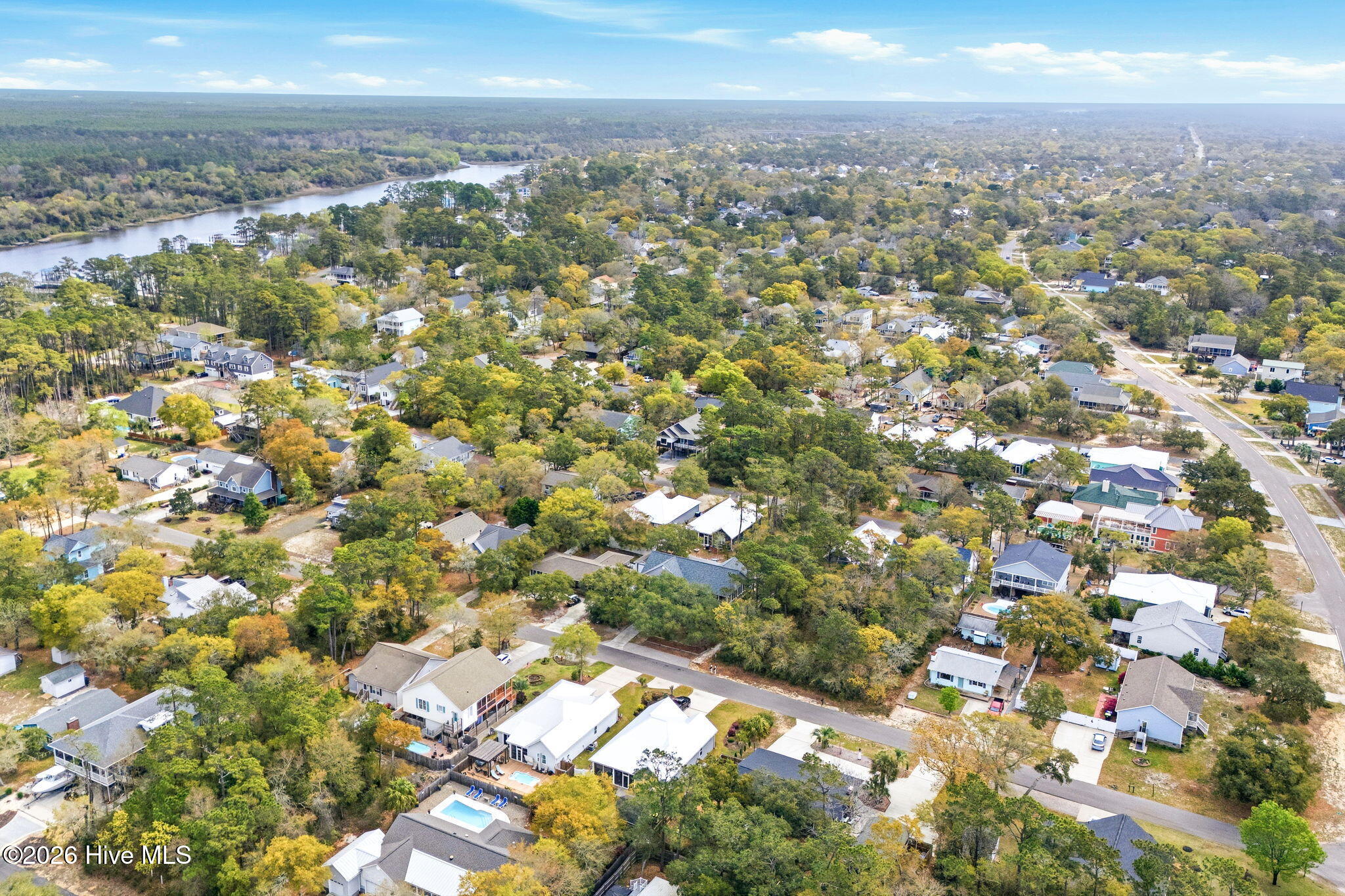 100565063 | Photo 15