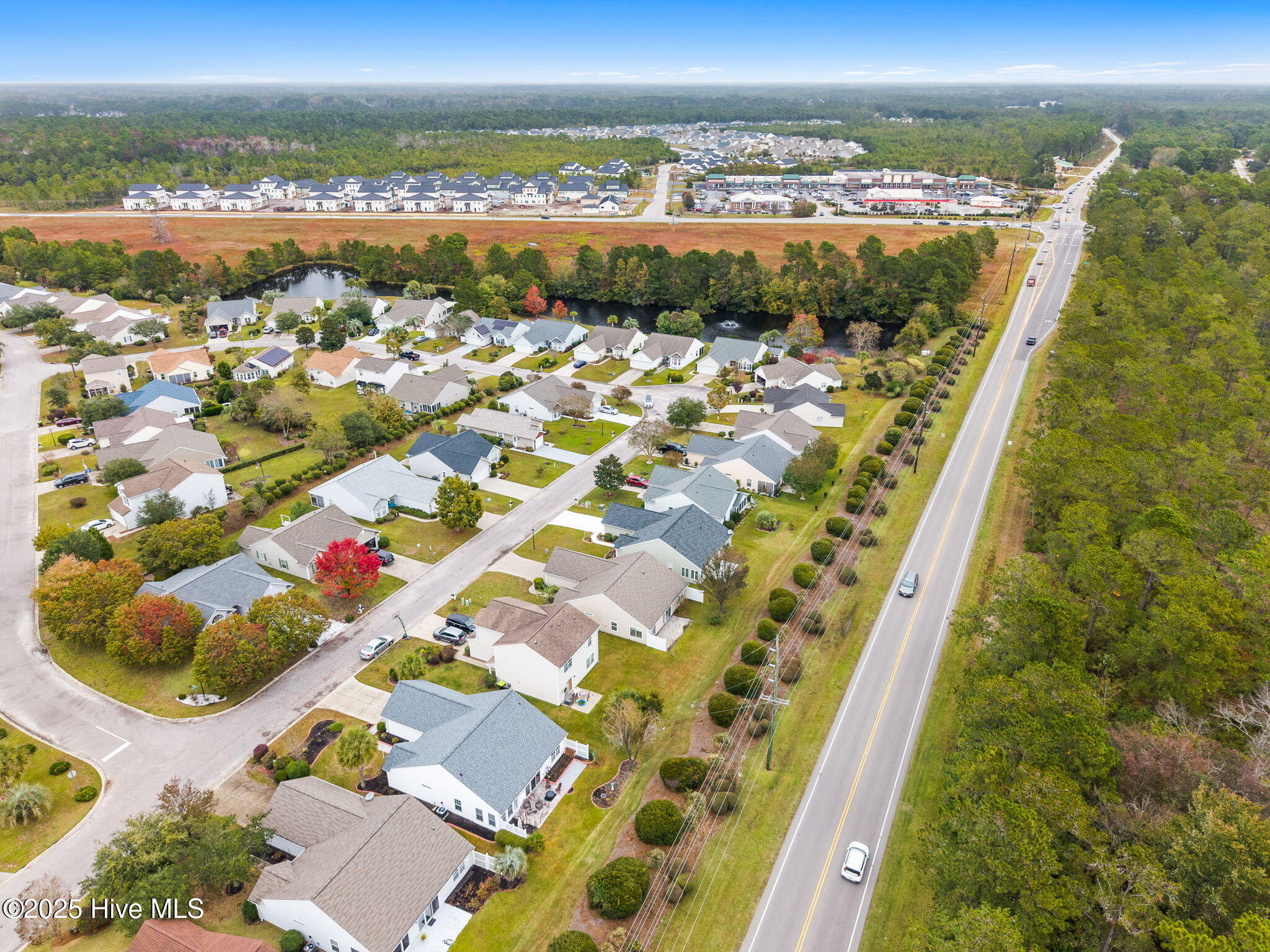 100536152 | Photo 47