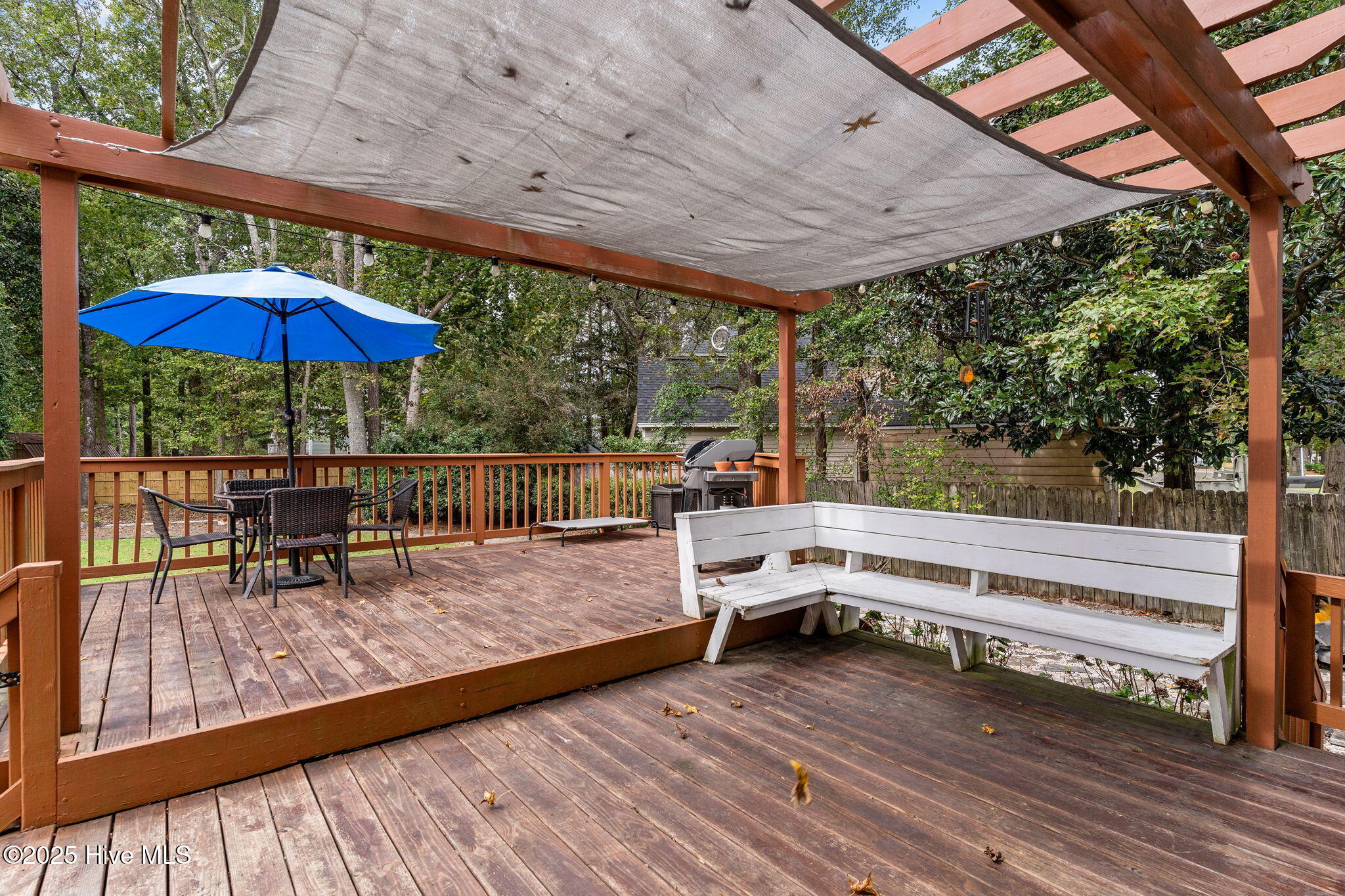 100534535 | Photo 39