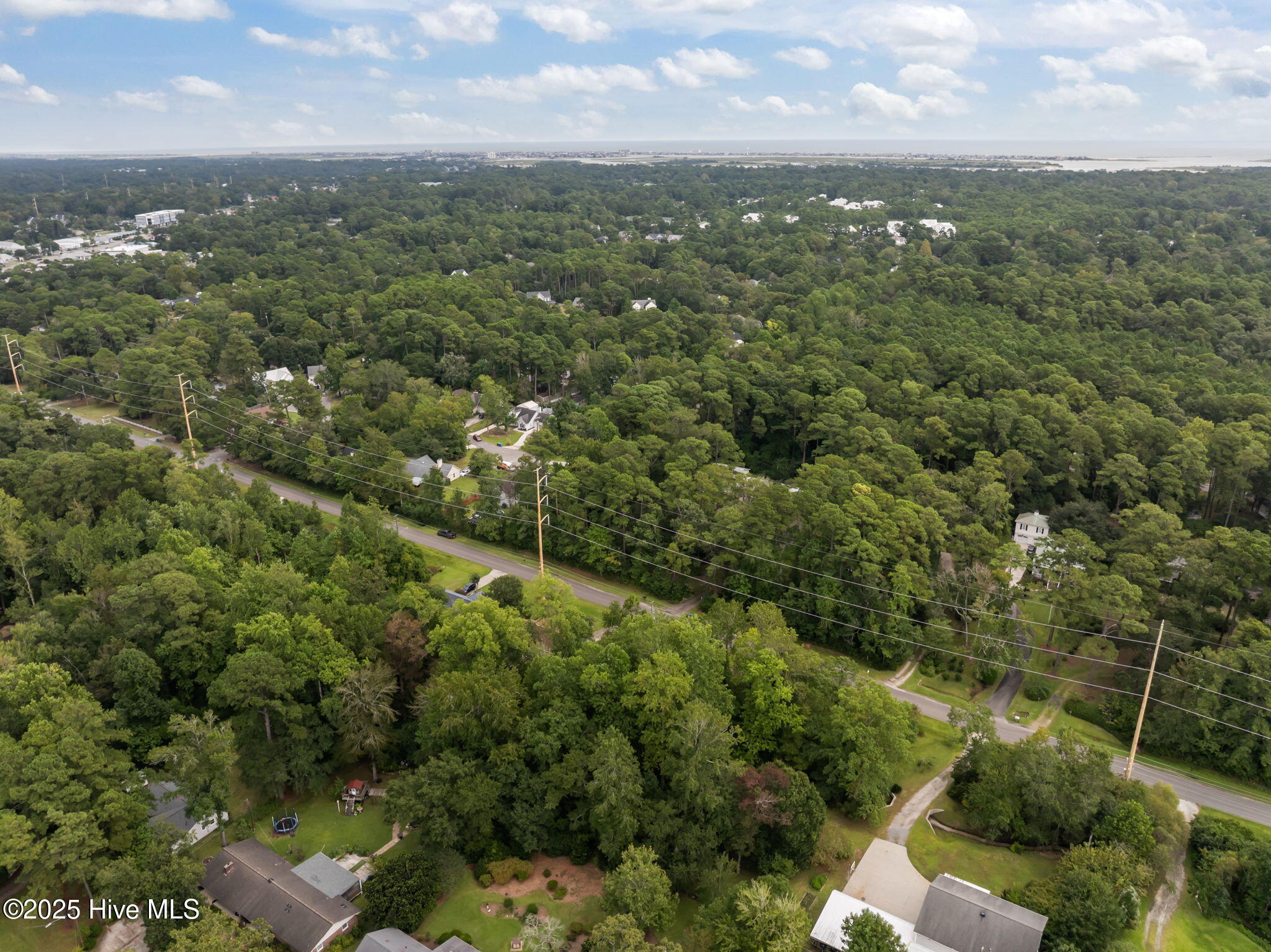 100529798 | Photo 15