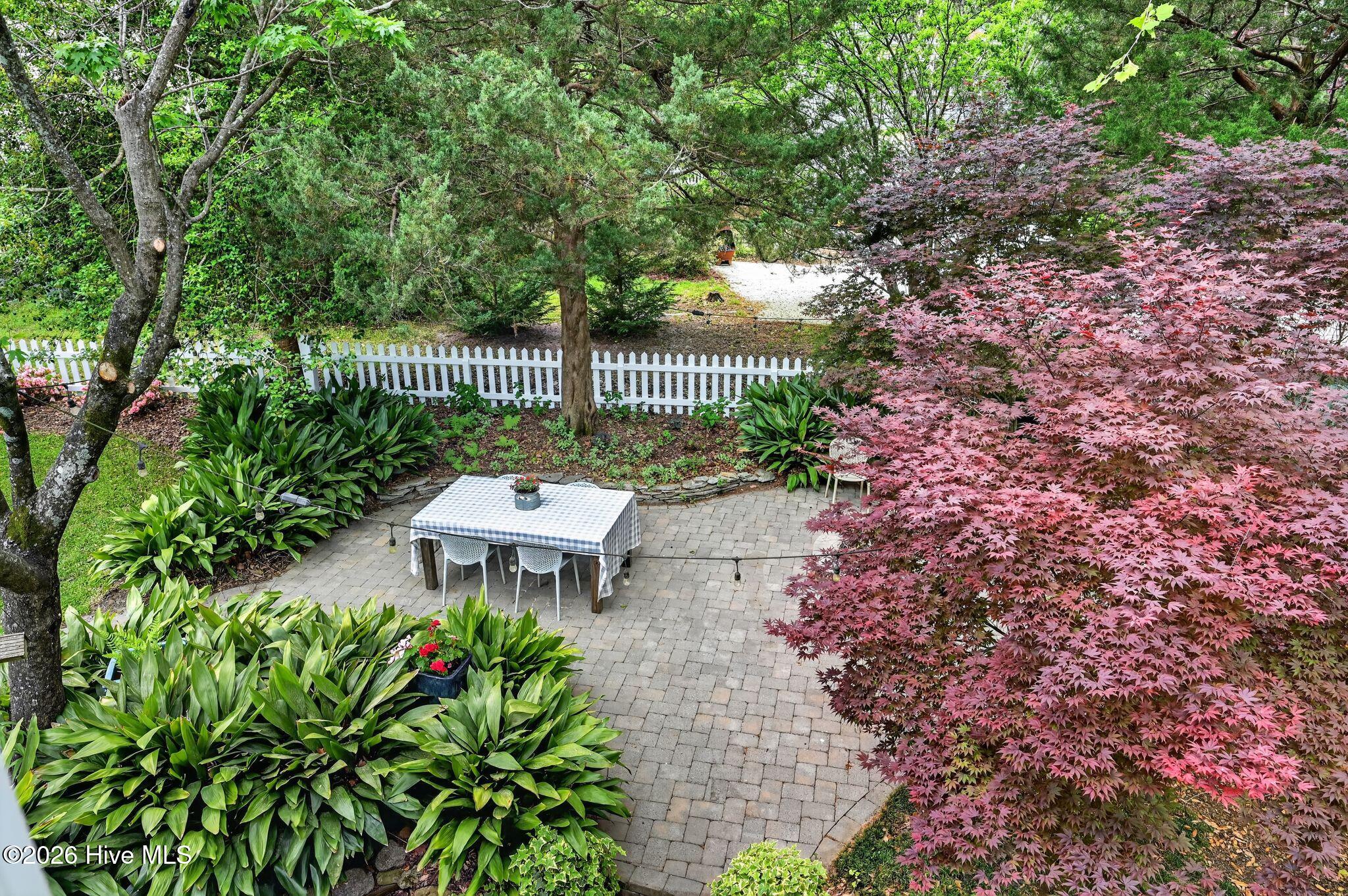 100569921 | Photo 41