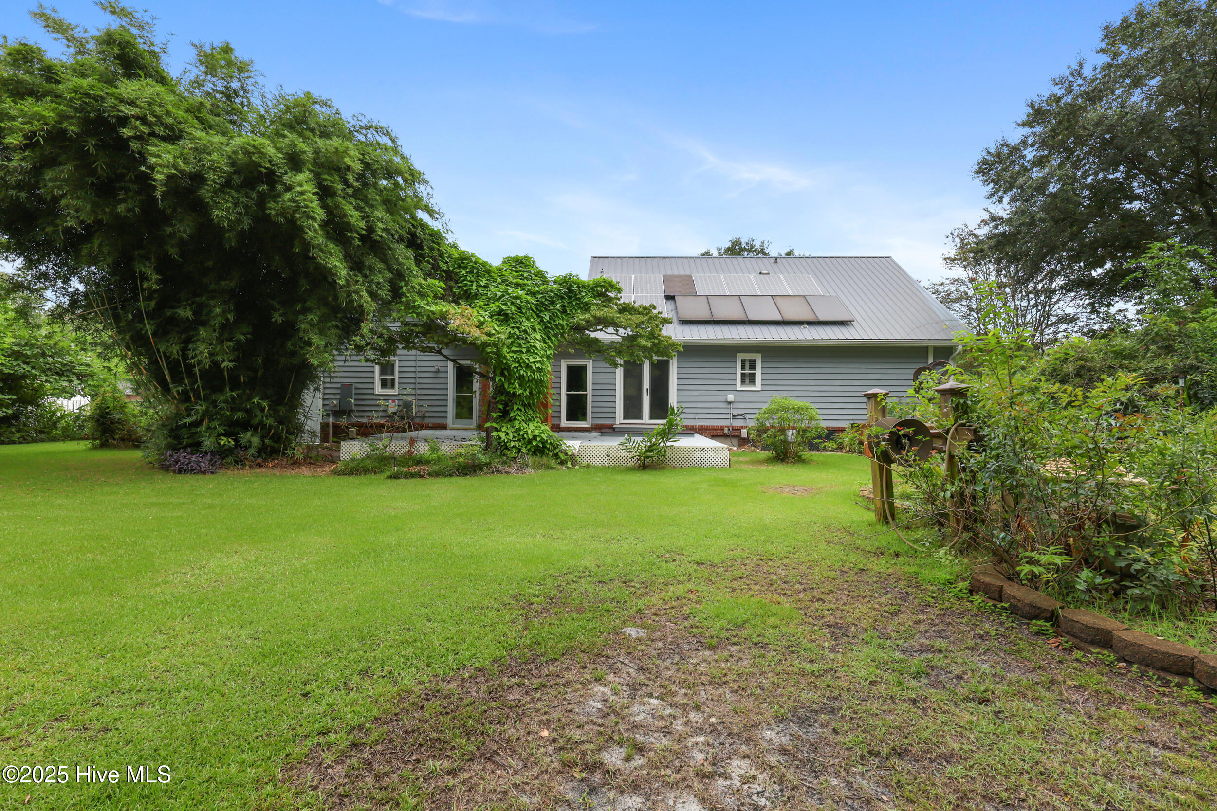 100525369 | Photo 33