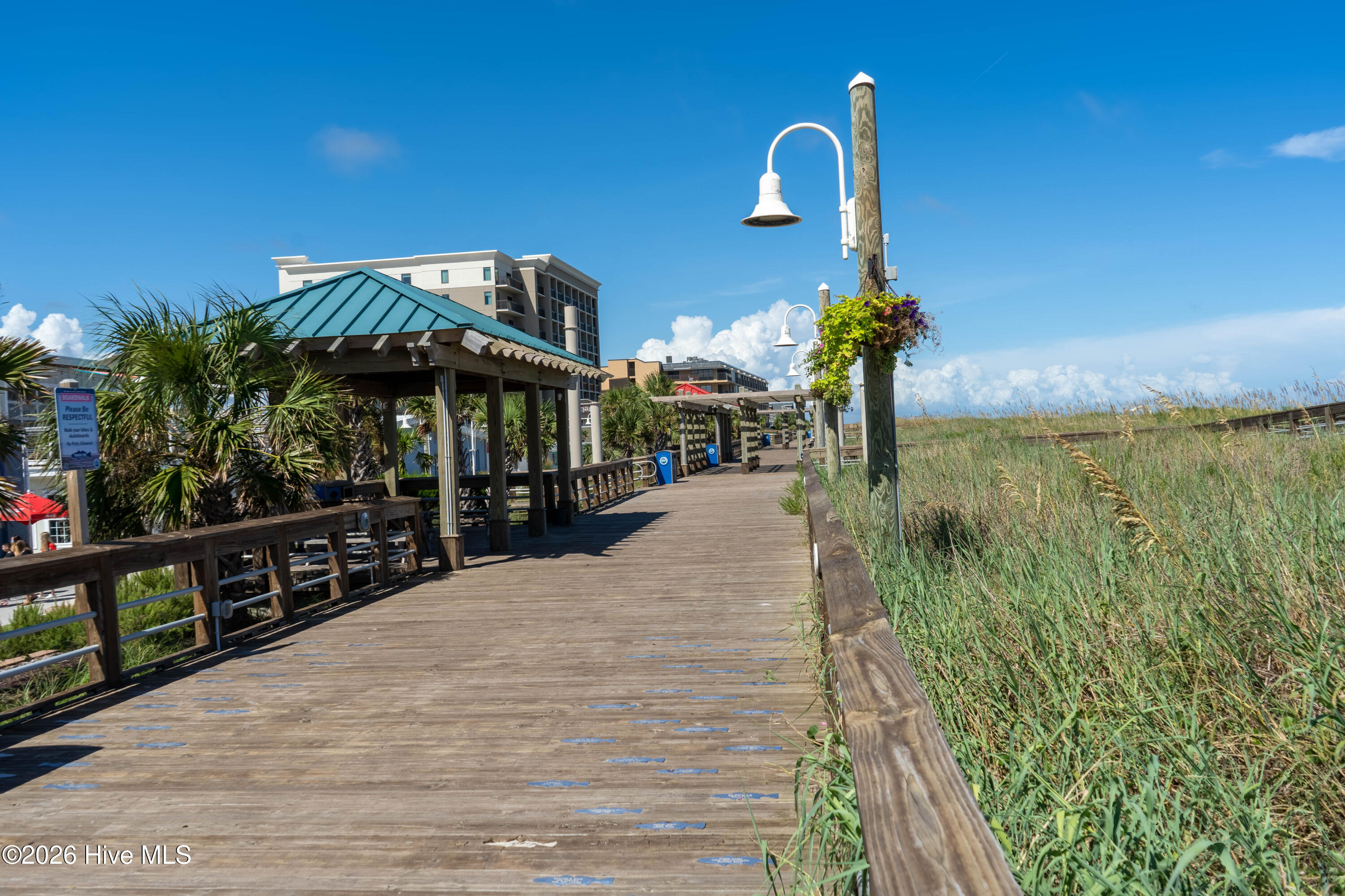 100566755 | Photo 64