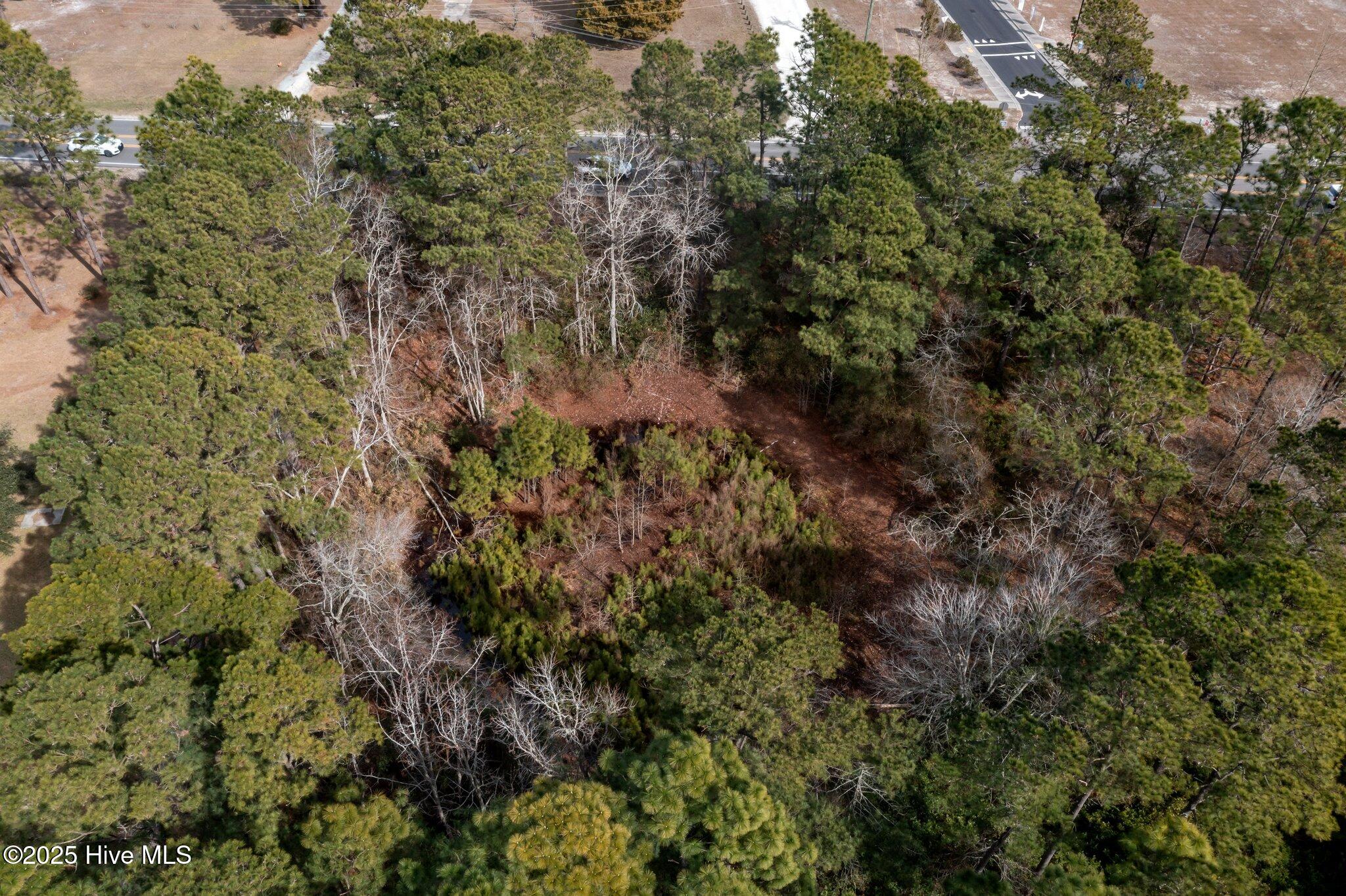 100501075 | Photo 18