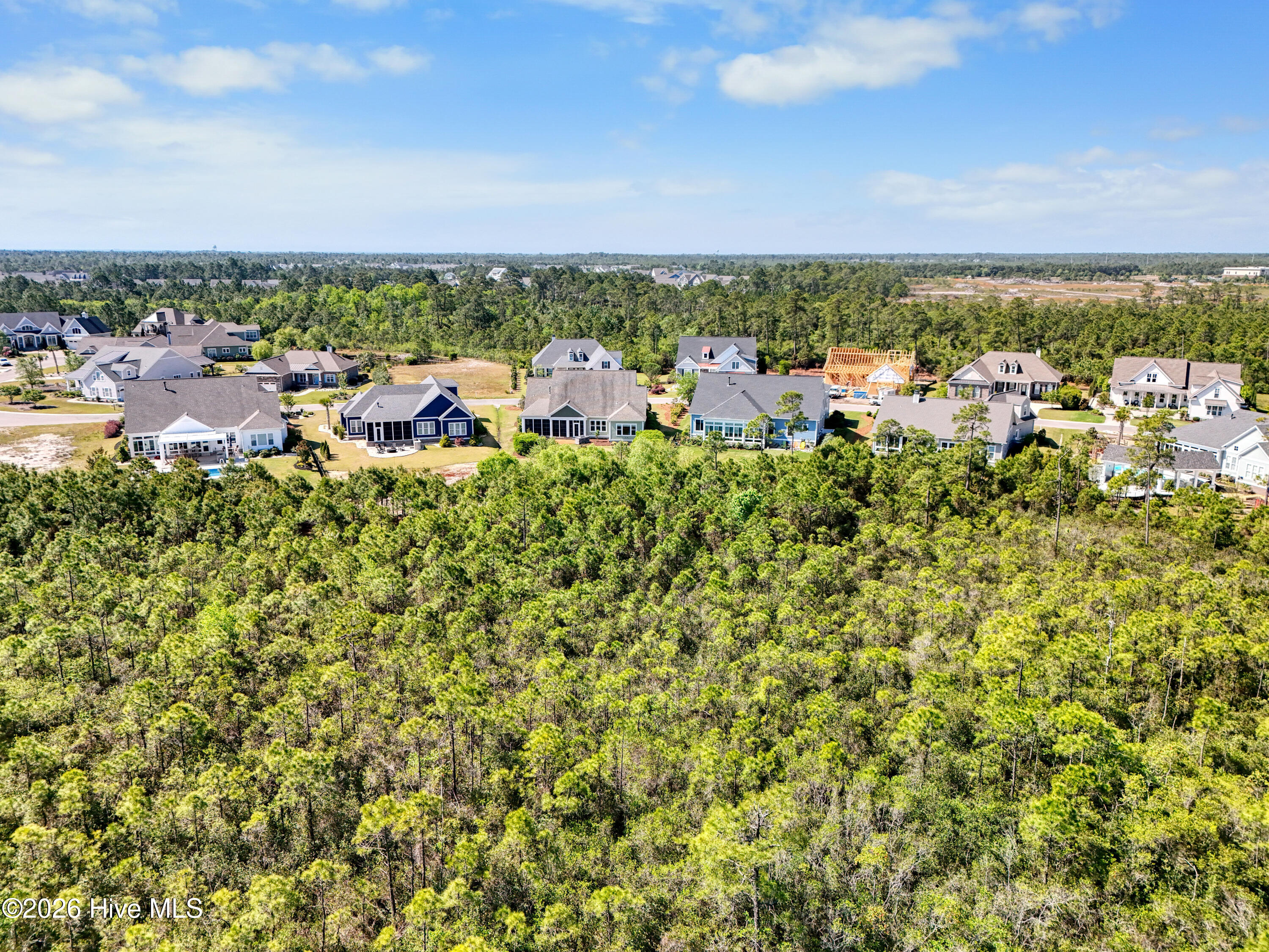 100569596 | Photo 62