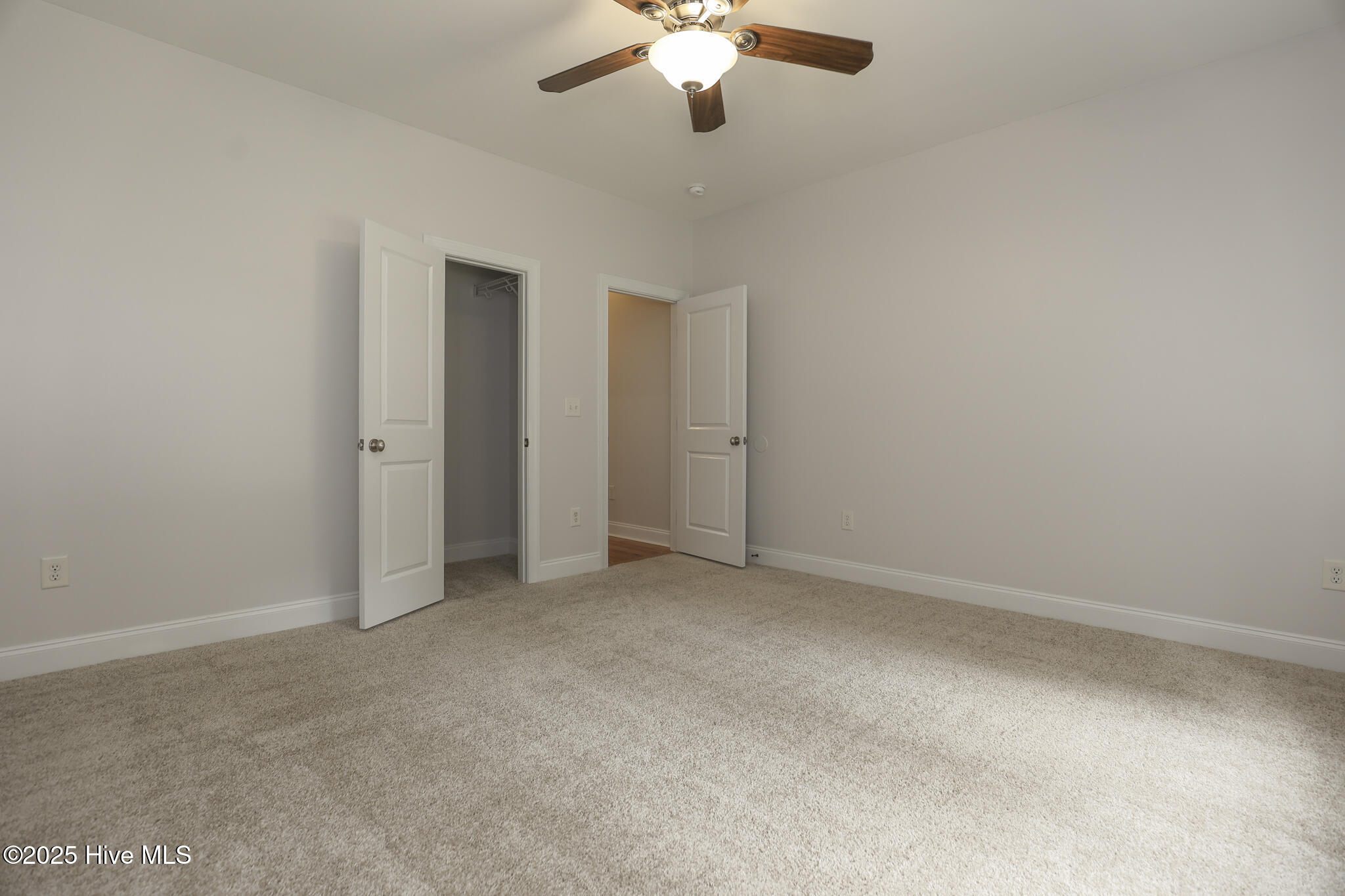 100530782 | Photo 19