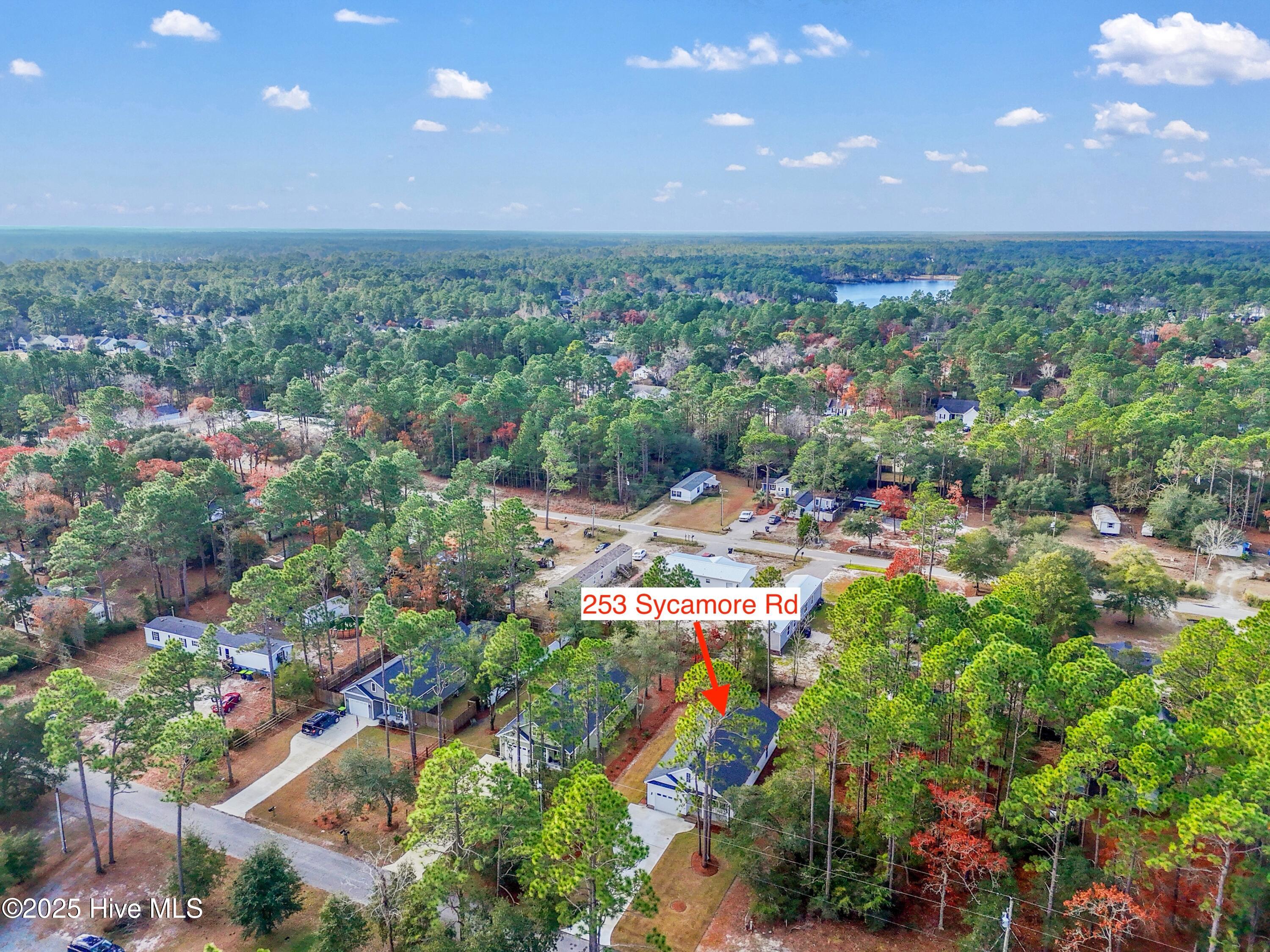 100505840 | Photo 40