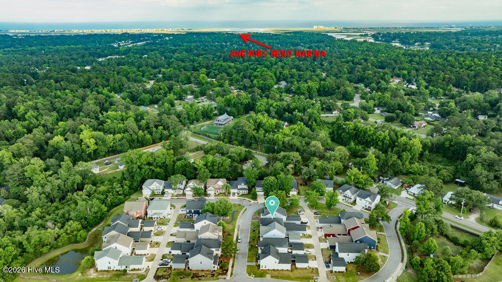 100558129 | Photo 62