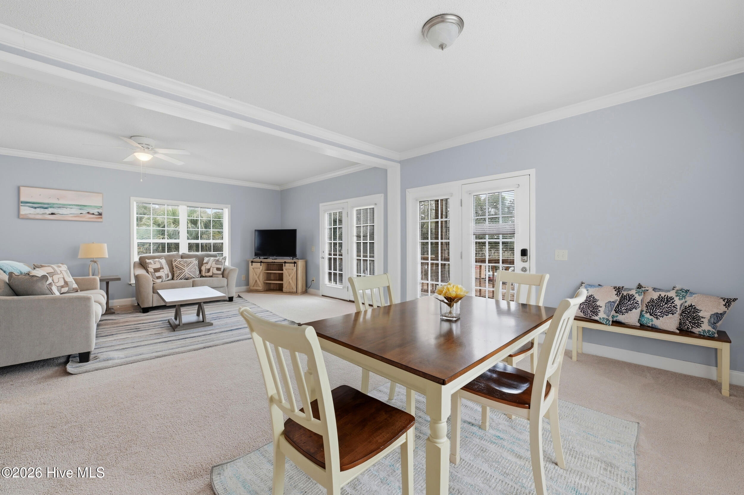 100557500 | Photo 13