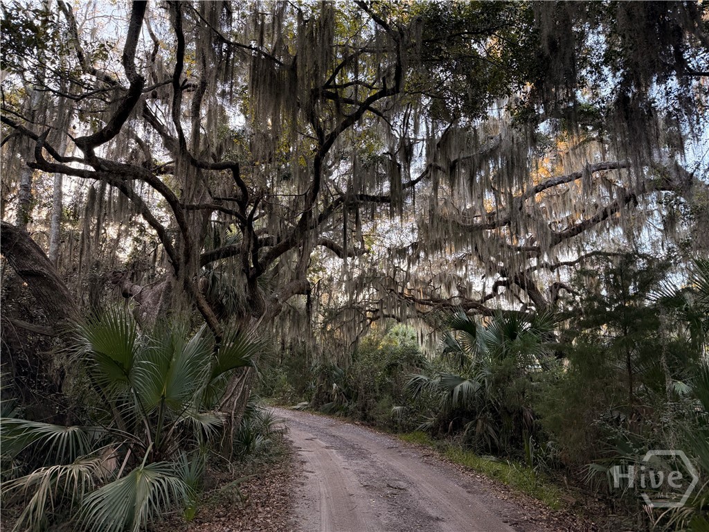 Homes for sale in Okatie, SC | 90 Calhoun Plantation Rd, Okatie, SC 29909 | MLS# SA344671