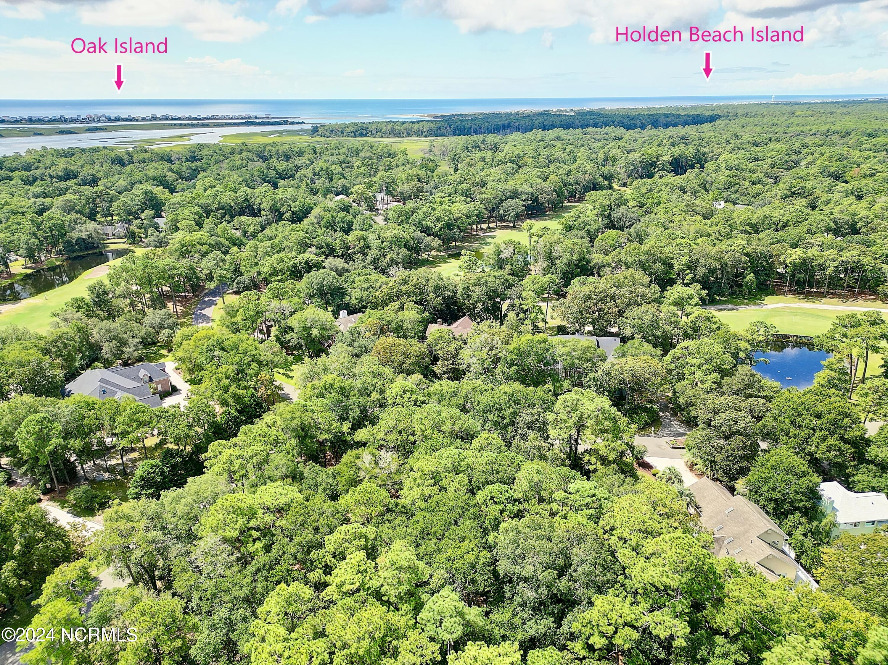 100564965 | Photo 11