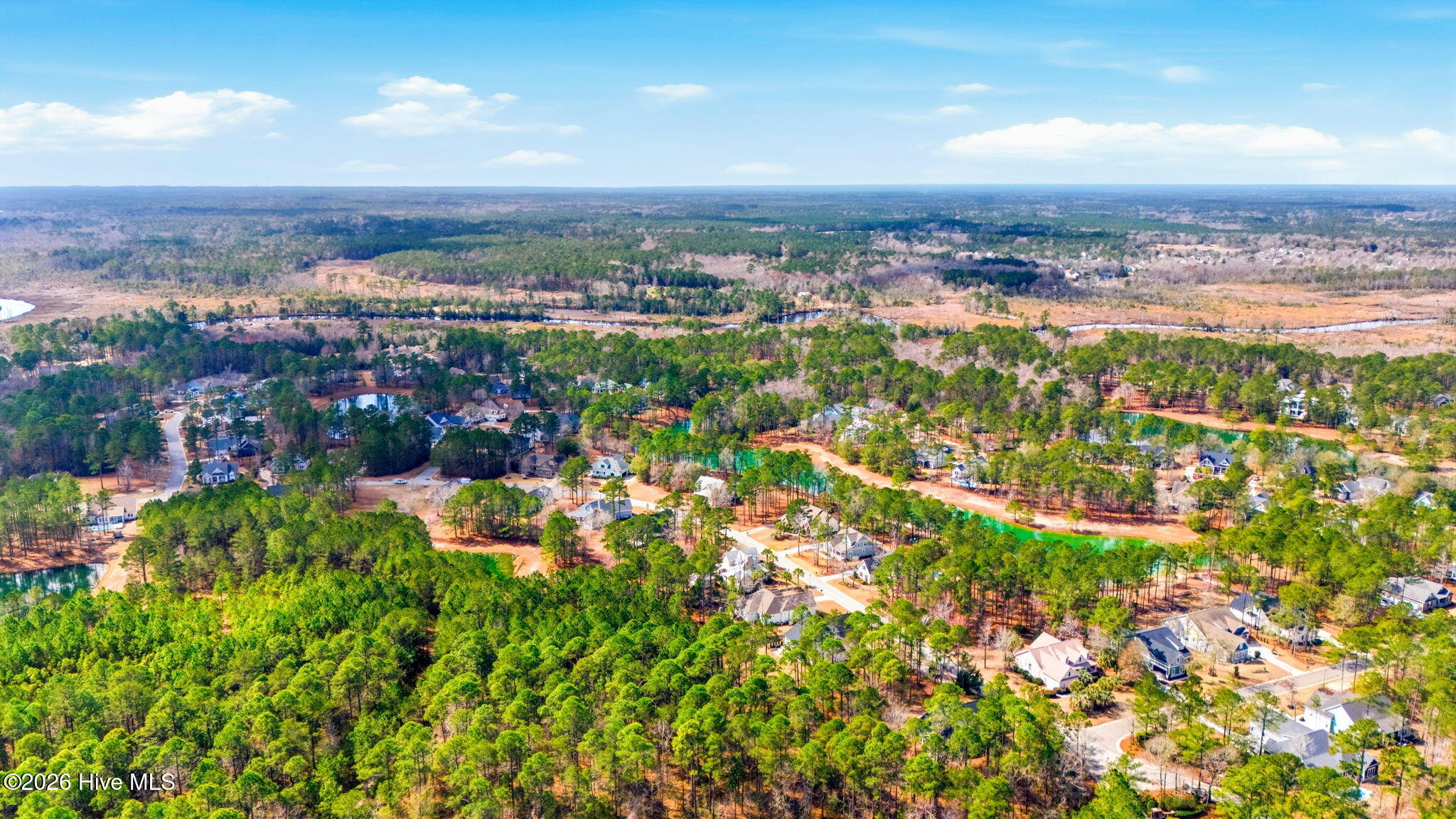 100558607 | Photo 53