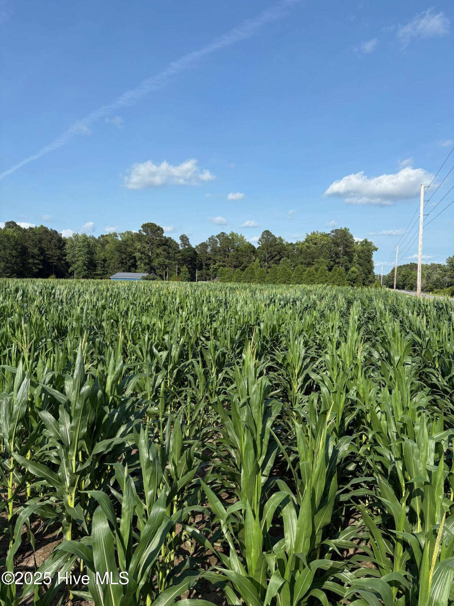 100512283 | Photo 11