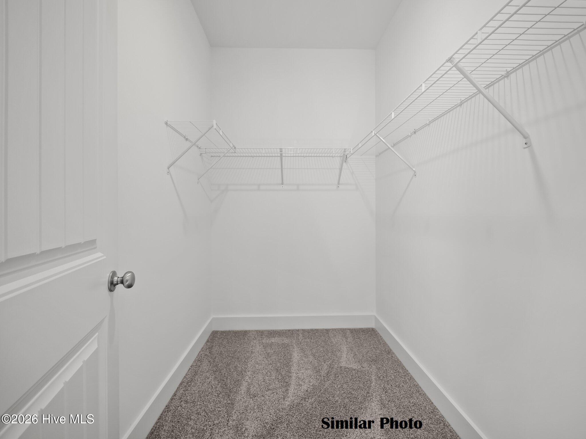 100563790 | Photo 31