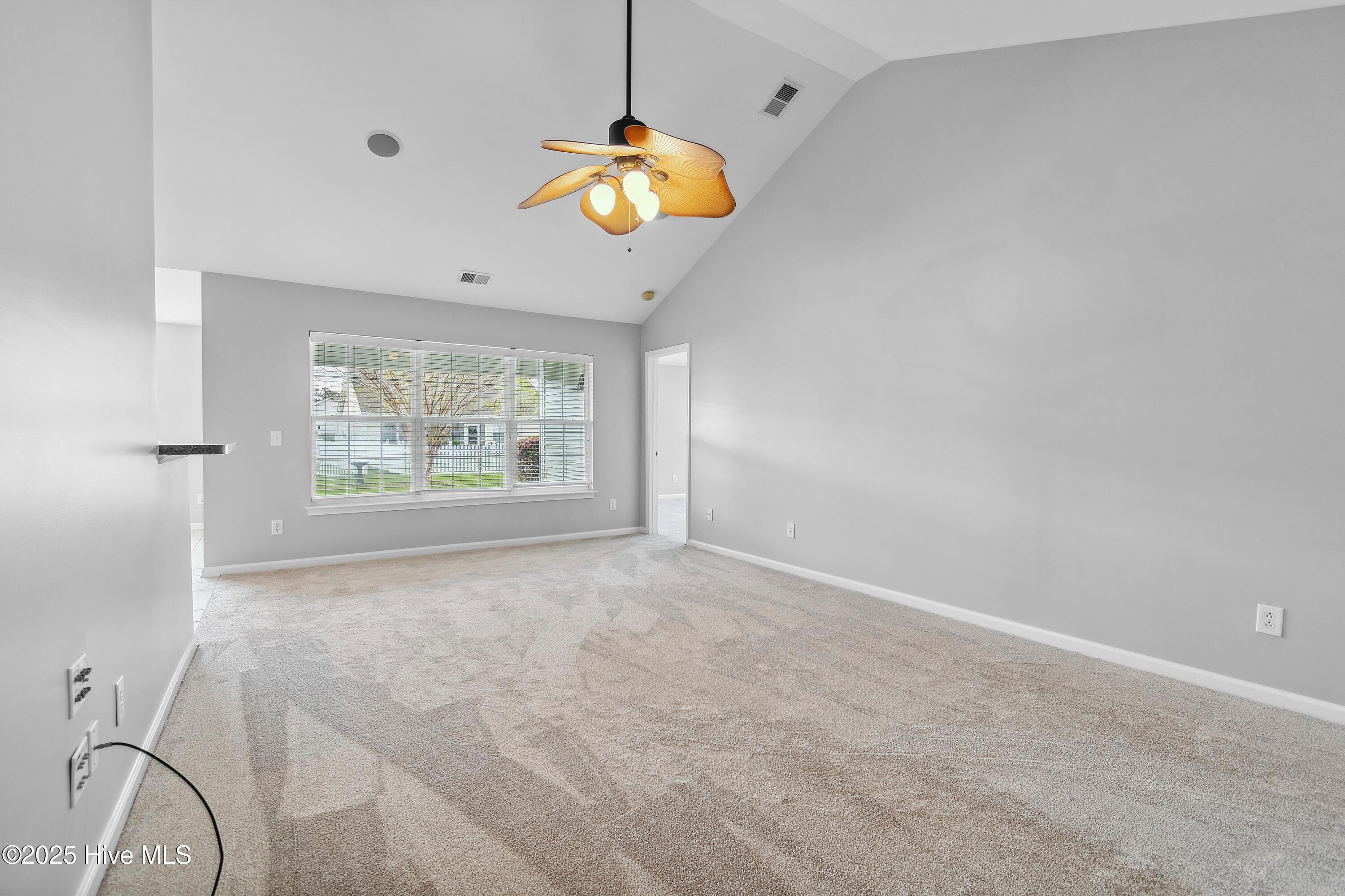 100547243 | Photo 11