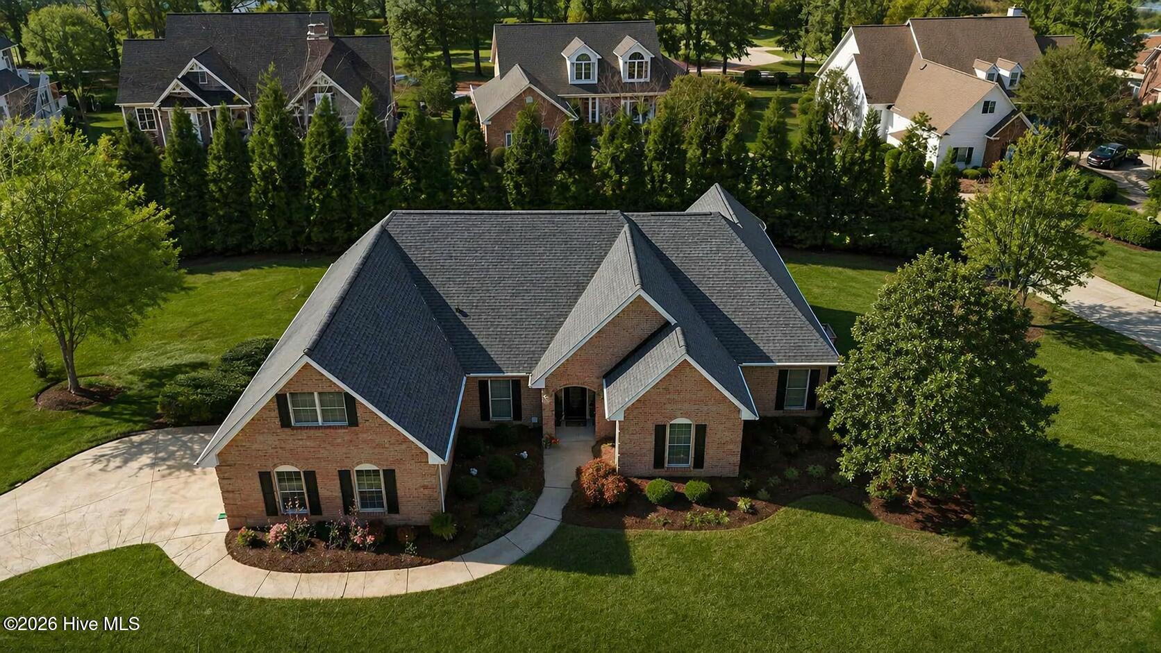 This is AI drawing of potential privacy tree line for the home