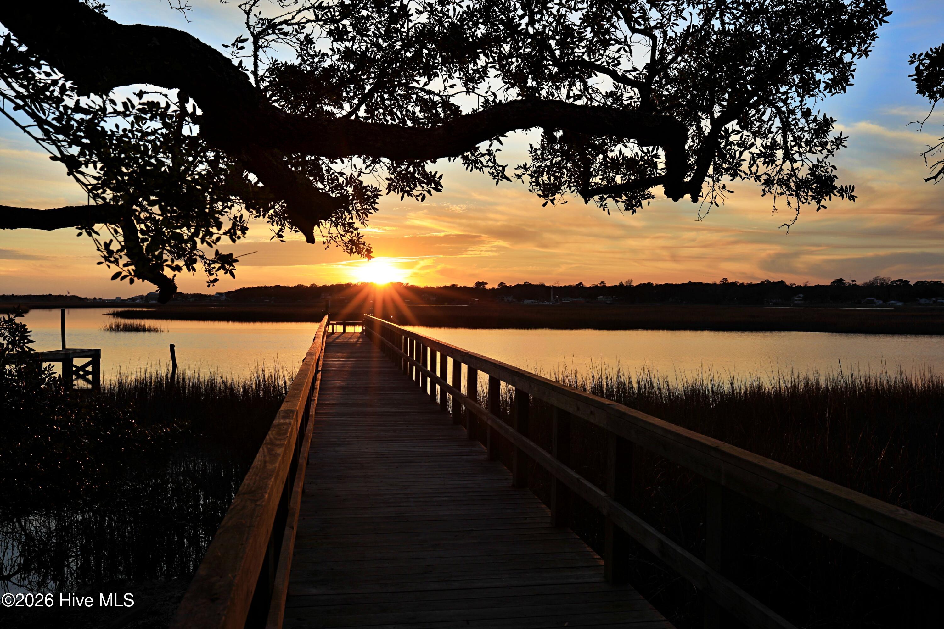 100554715 | Photo 19