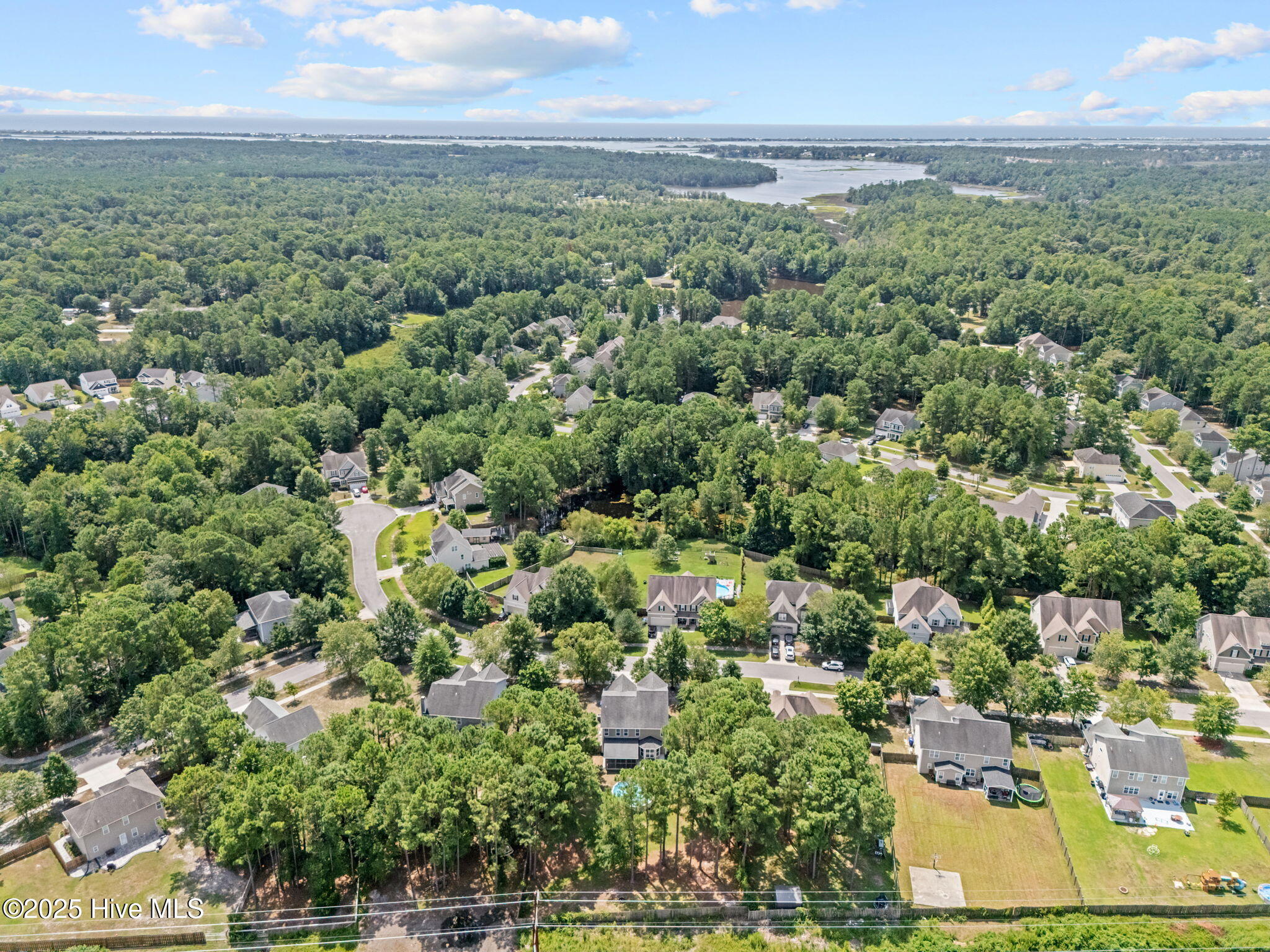 100522493 | Photo 38