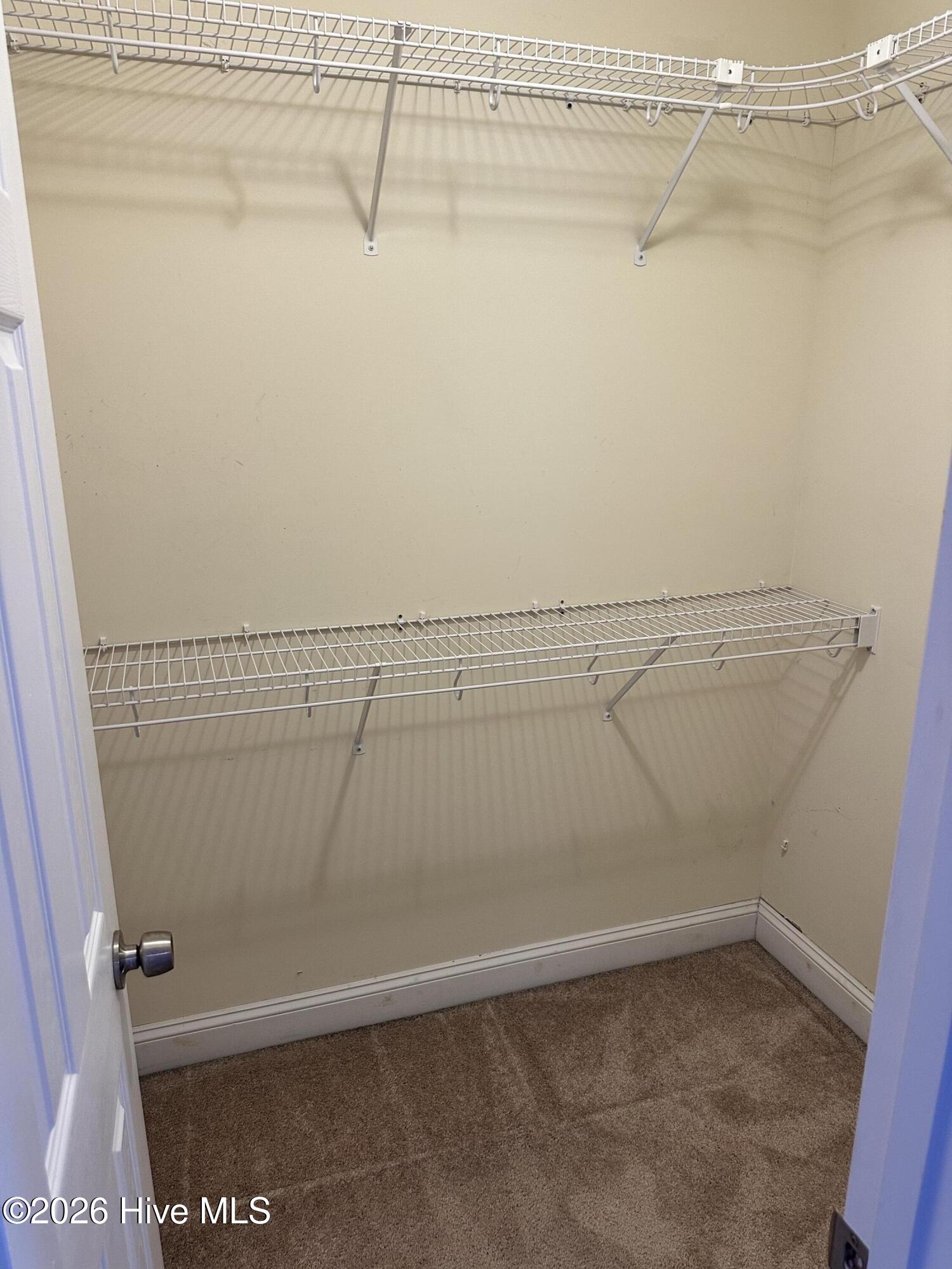 100556264 | Photo 17