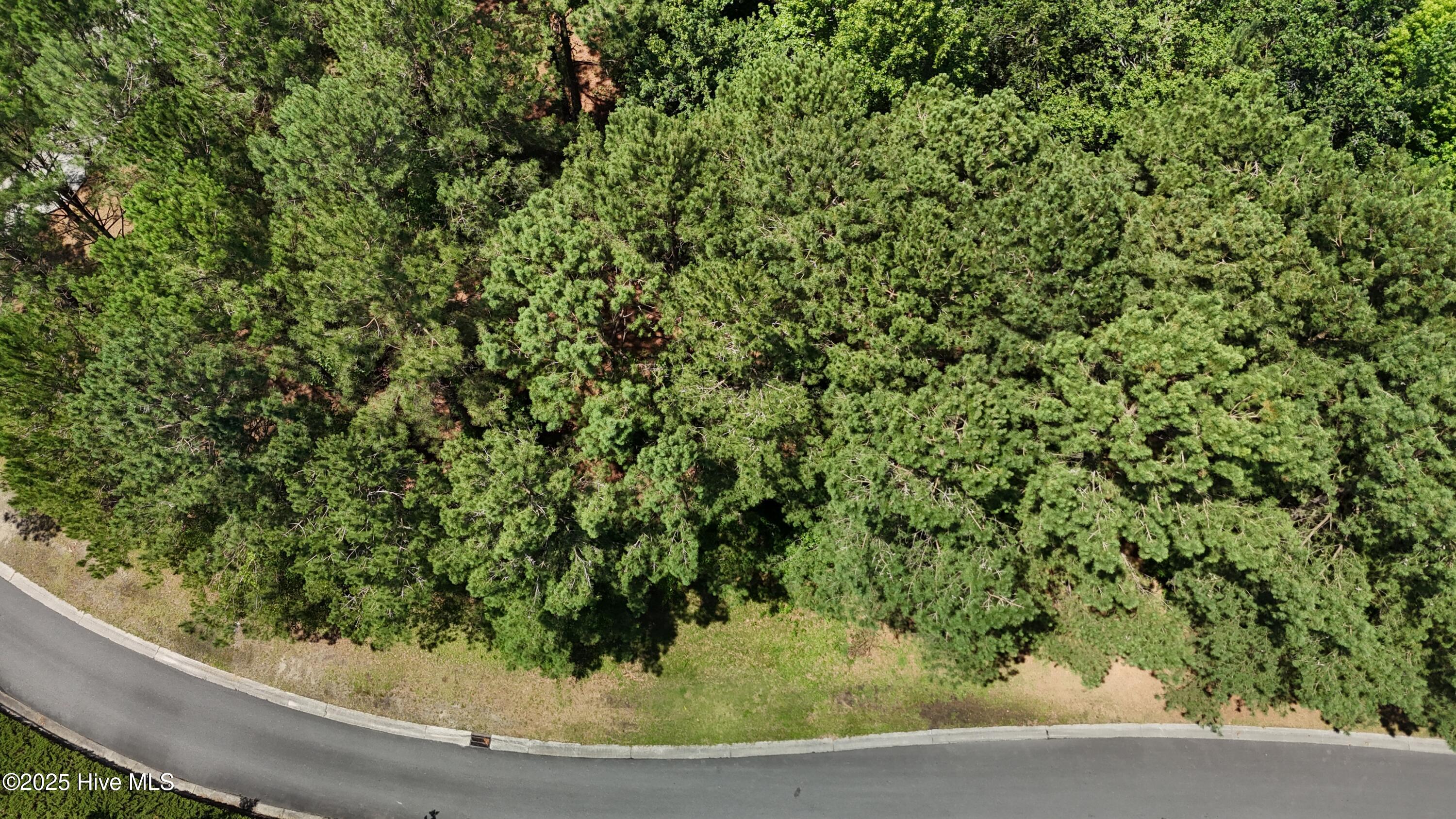 217 October Glory Drive, Wallace, NC, 28466