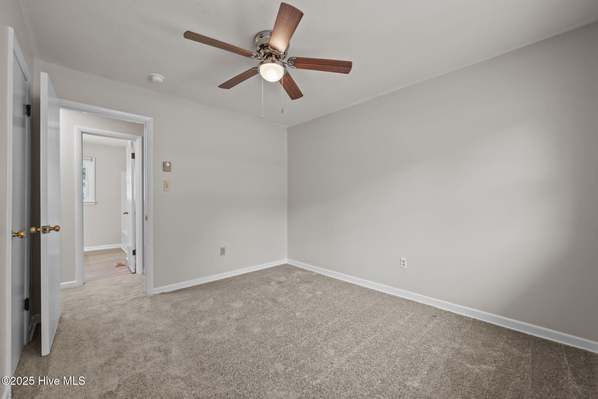 100535333 | Photo 19