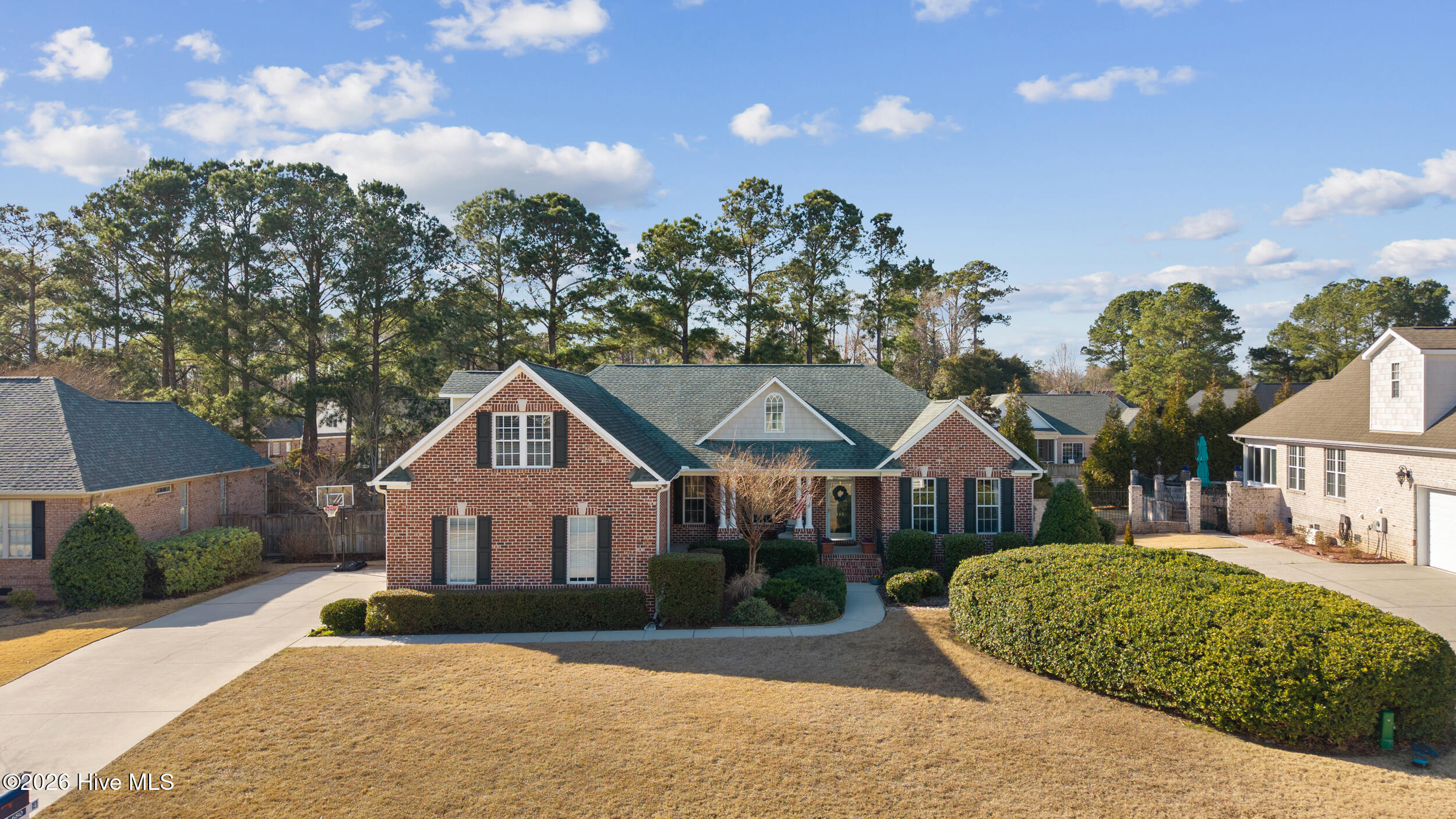 100558582 | Photo 47